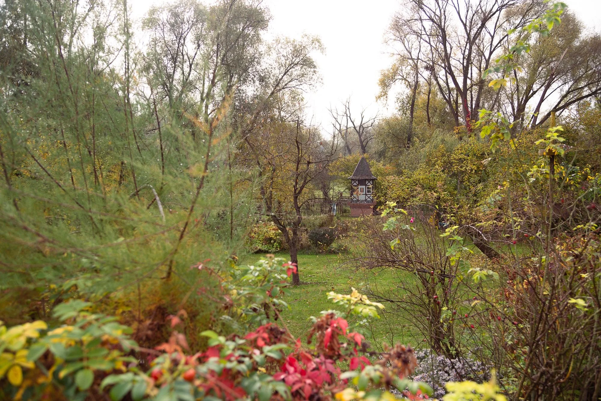 retreat house garden brandenburg.jpeg