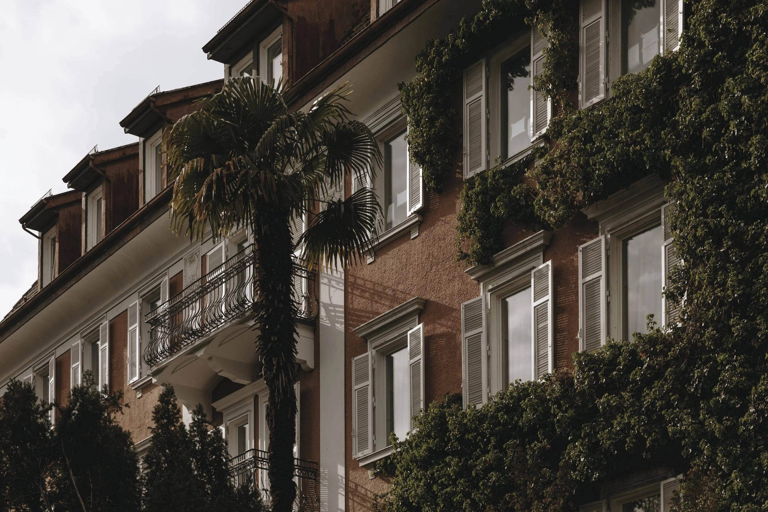Apartment building with white window shutters and lush greenery, including a tall palm tree in front
