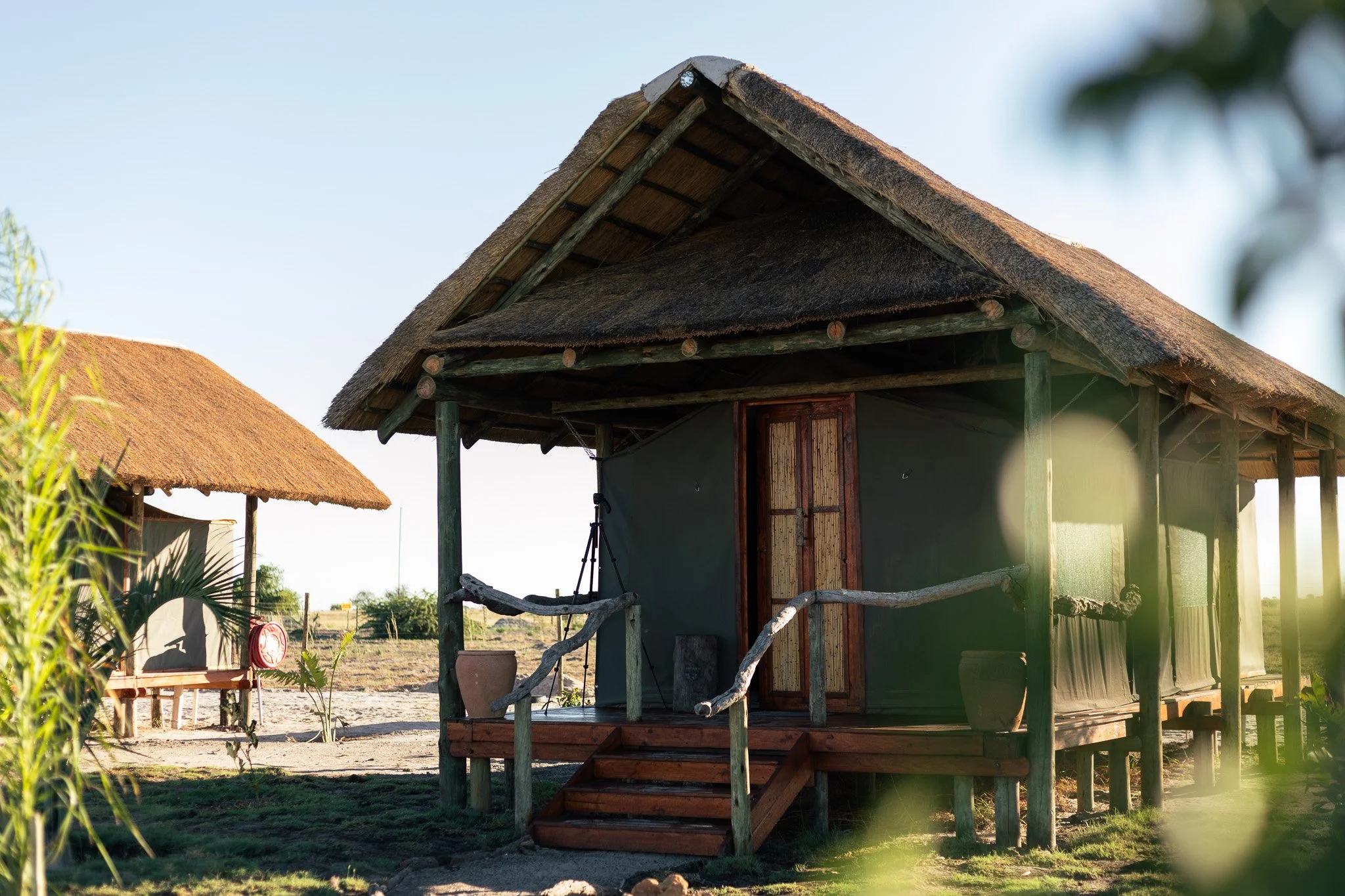 safari yoga retreat.jpg