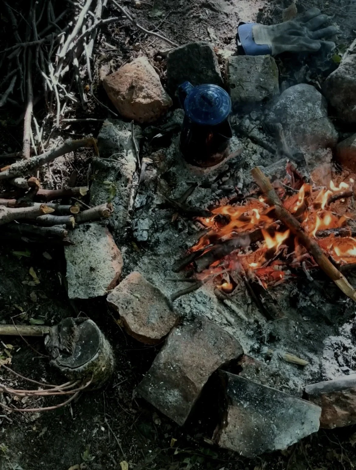 yoga retreat at the forest.jpg