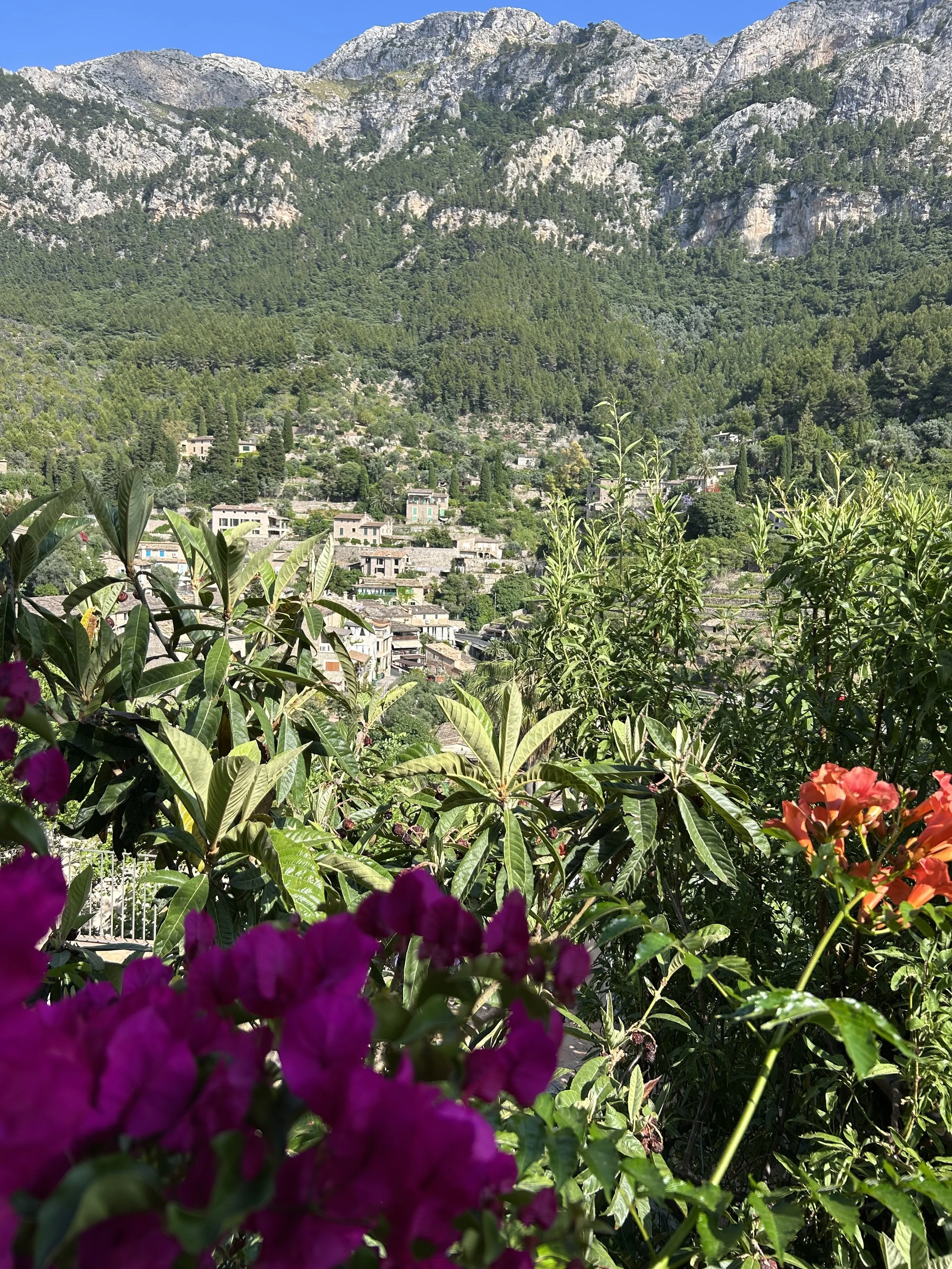 retreat mallorca_view .jpeg