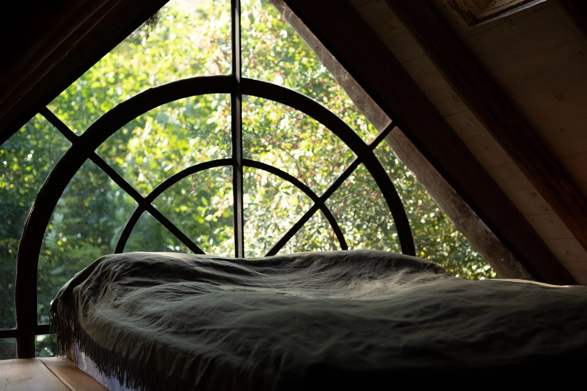 reset nature retreat huts fireplace.jpg