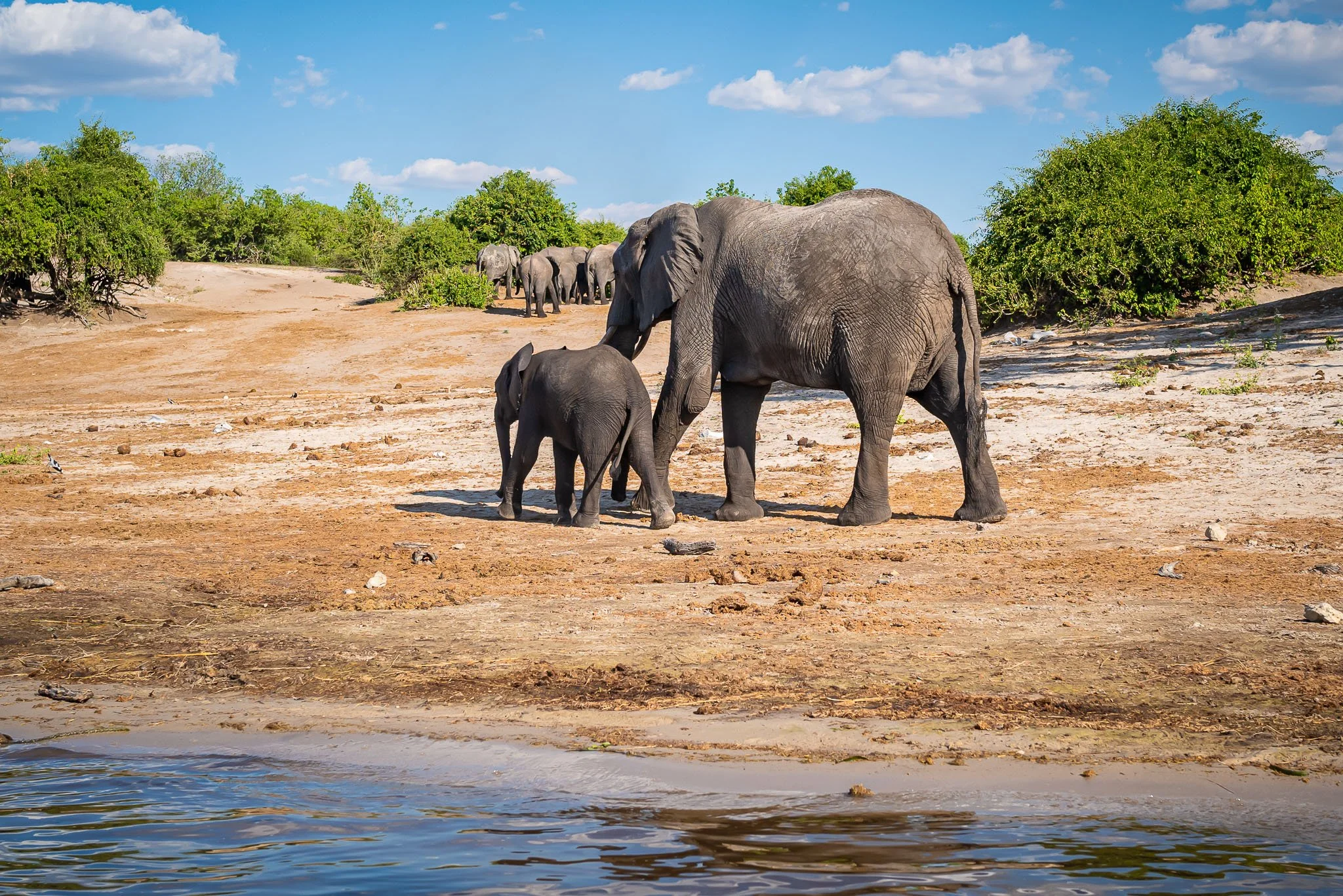 safari yoga retreat.jpg
