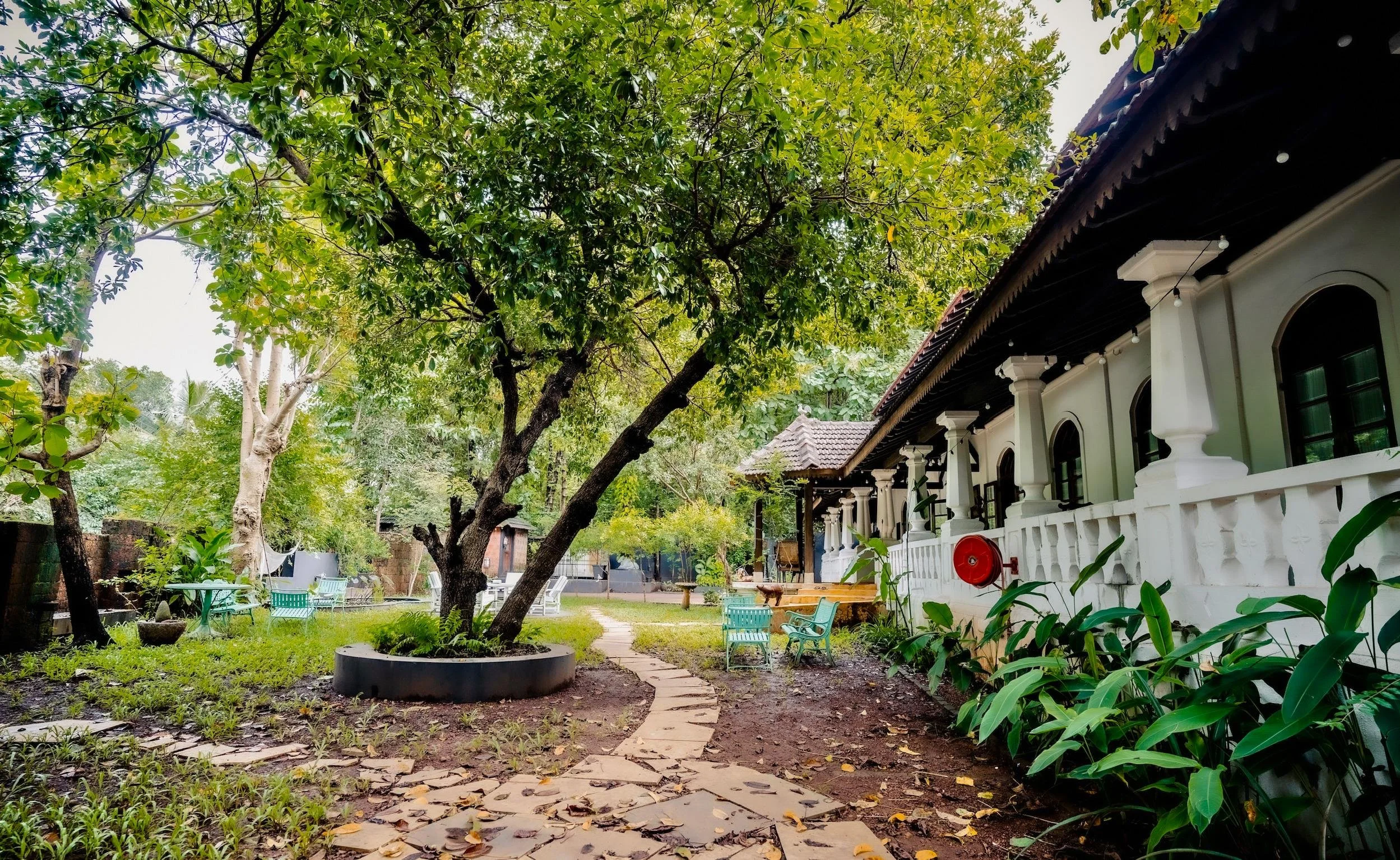 Garden nature yoga retreat goa india.jpeg