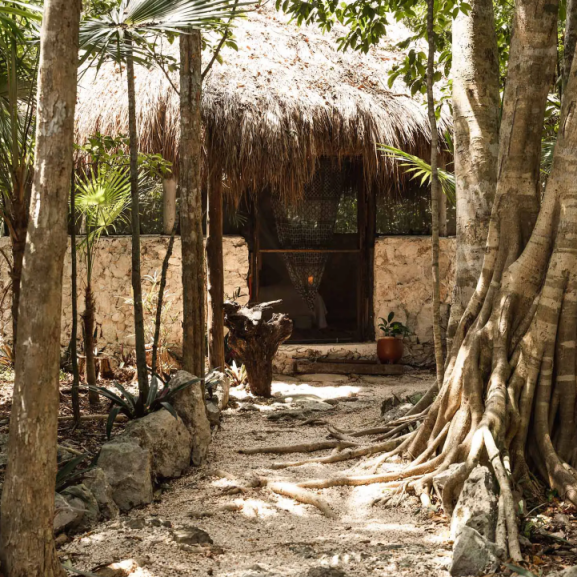 ASHTANGA+YOGA+MEXICO+RETREAT+CABAÑA+(1).webp