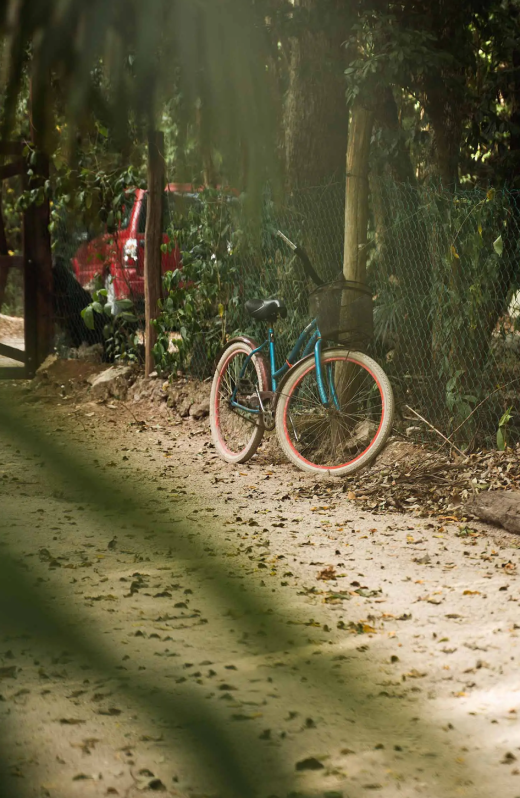 ASHTANGA+YOGA+MEXICO+RETREAT+BICI.webp