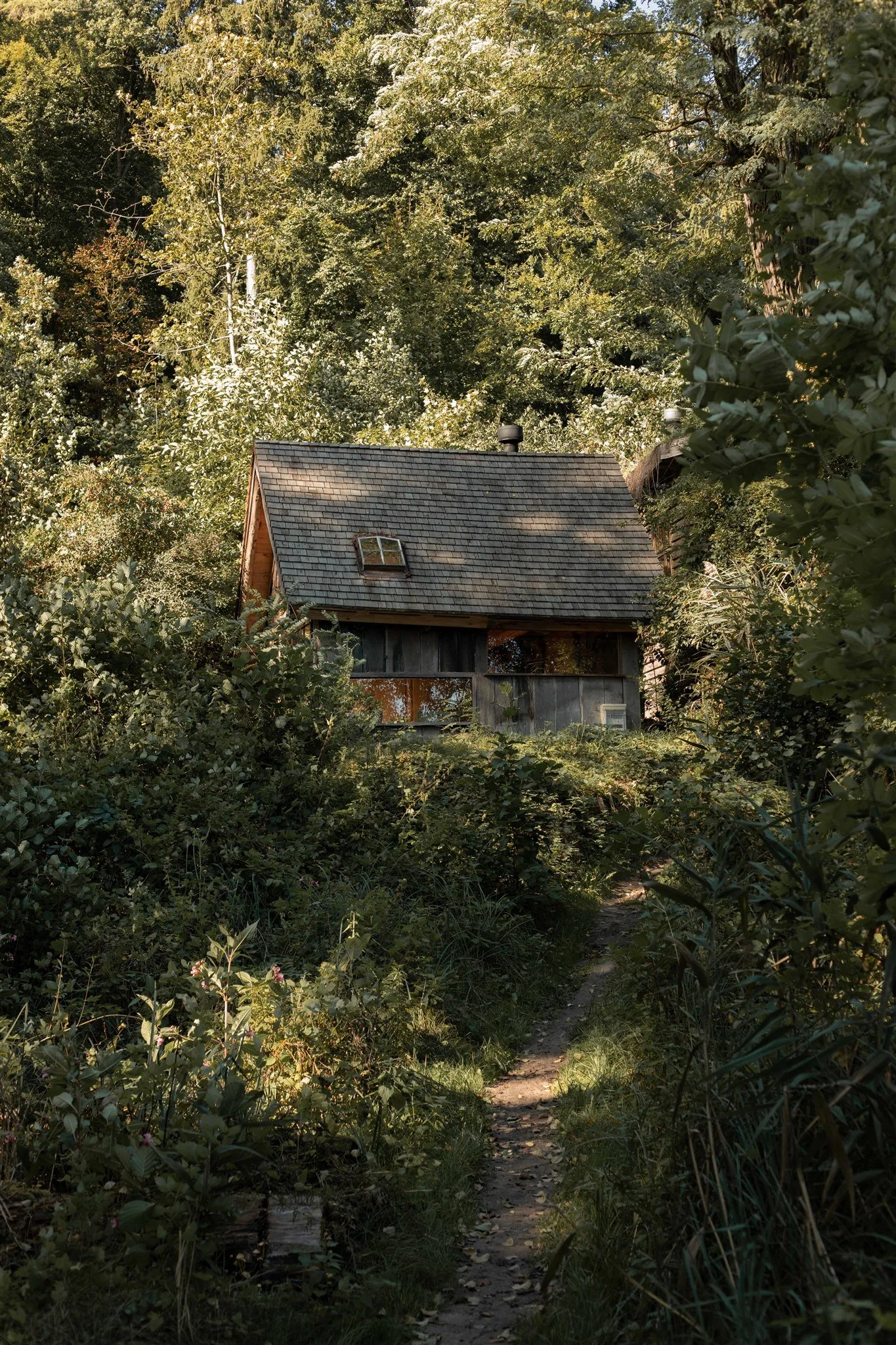 private lake nature Erlengrund.jpg