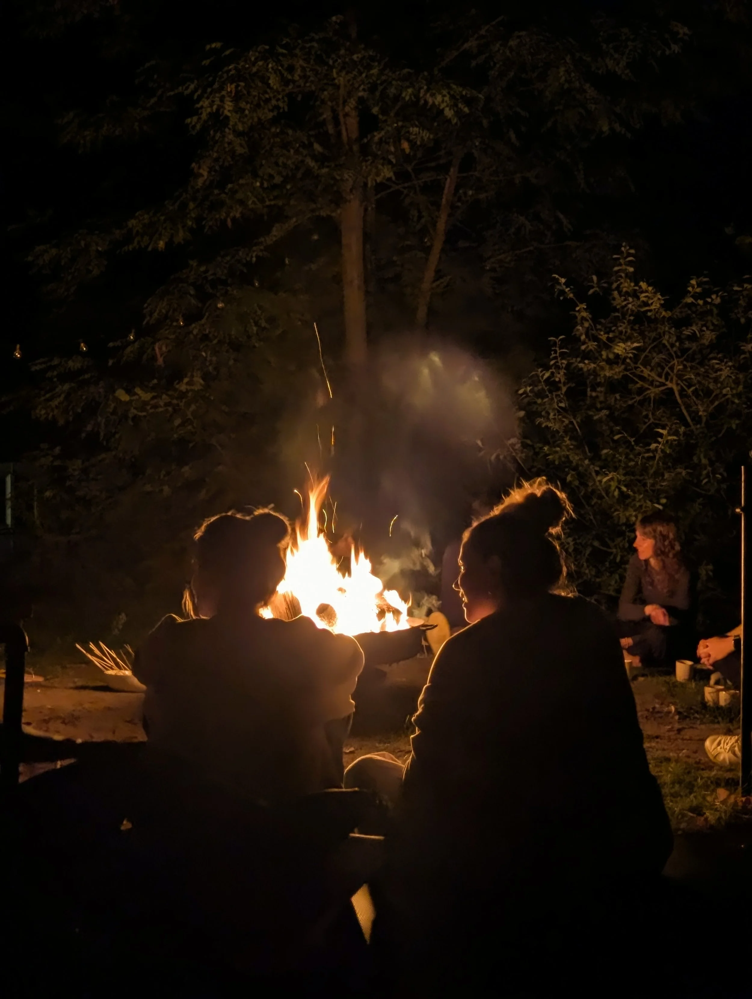 campfire retreat nature work out brandenburg.jpg