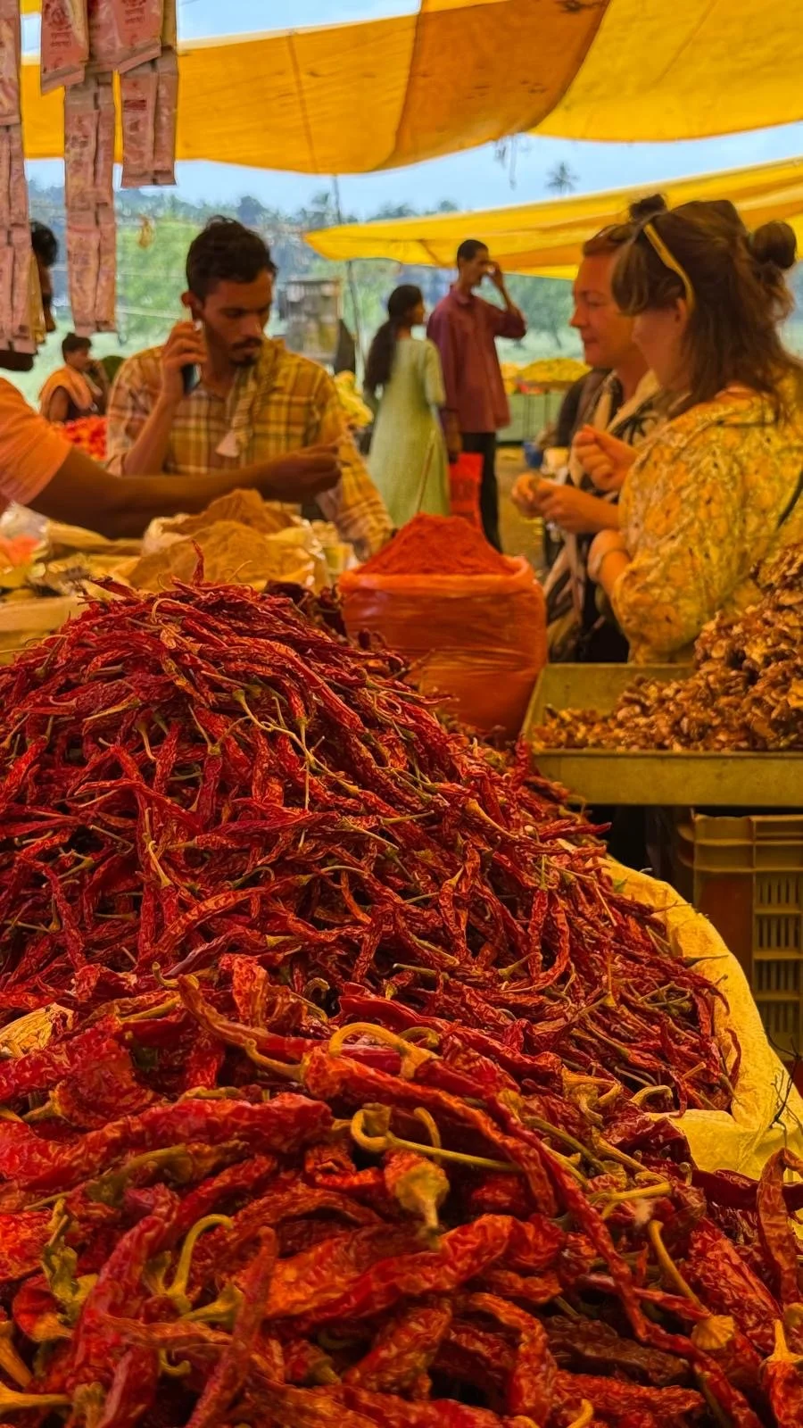 ayurveda retreat india market.JPG