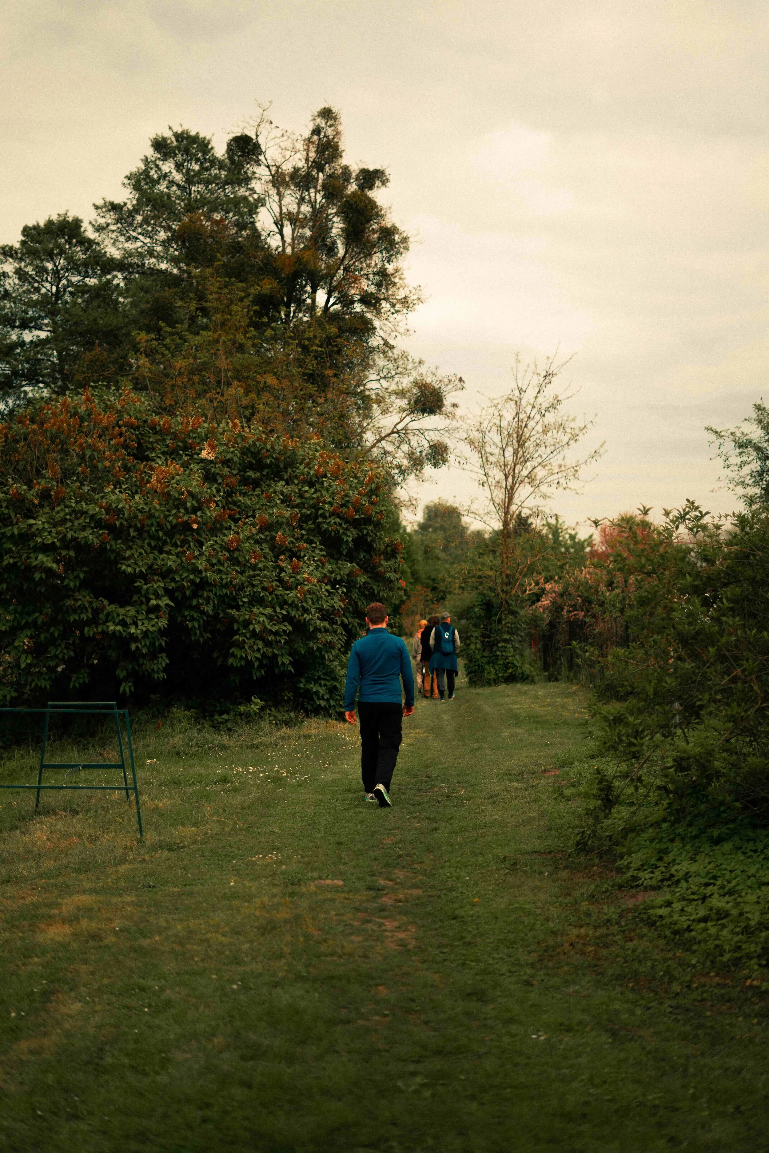 yoga retreat at the forest.jpeg