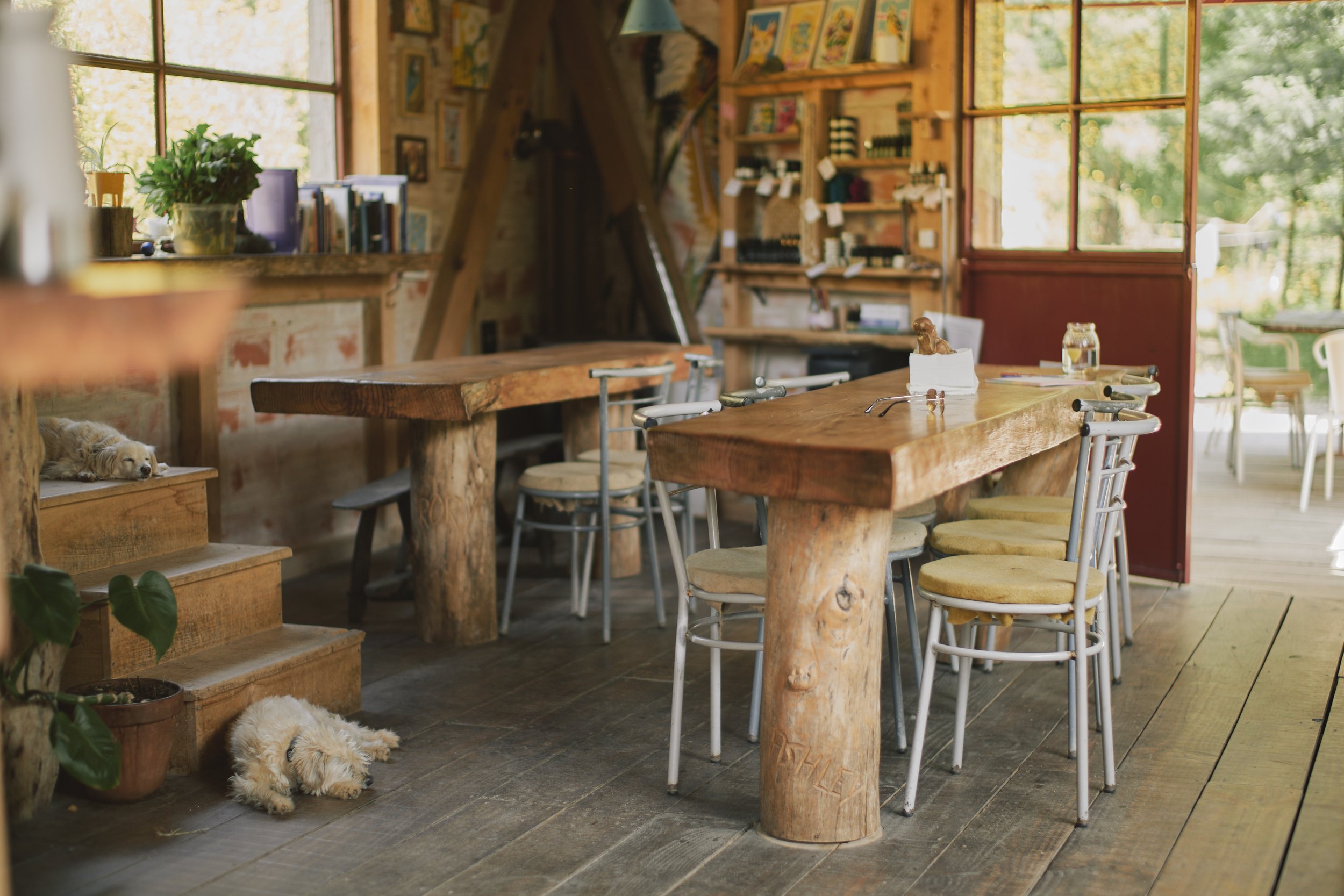 portugal retreat center nature kitchen.jpg