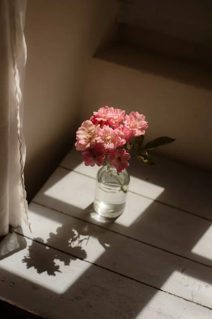 amassa retreat center france mood shot.webp
