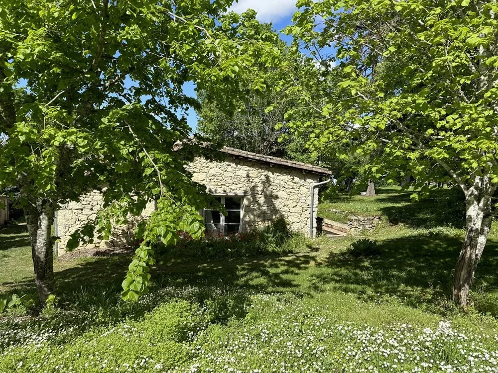 Amassa Nature connection.webp