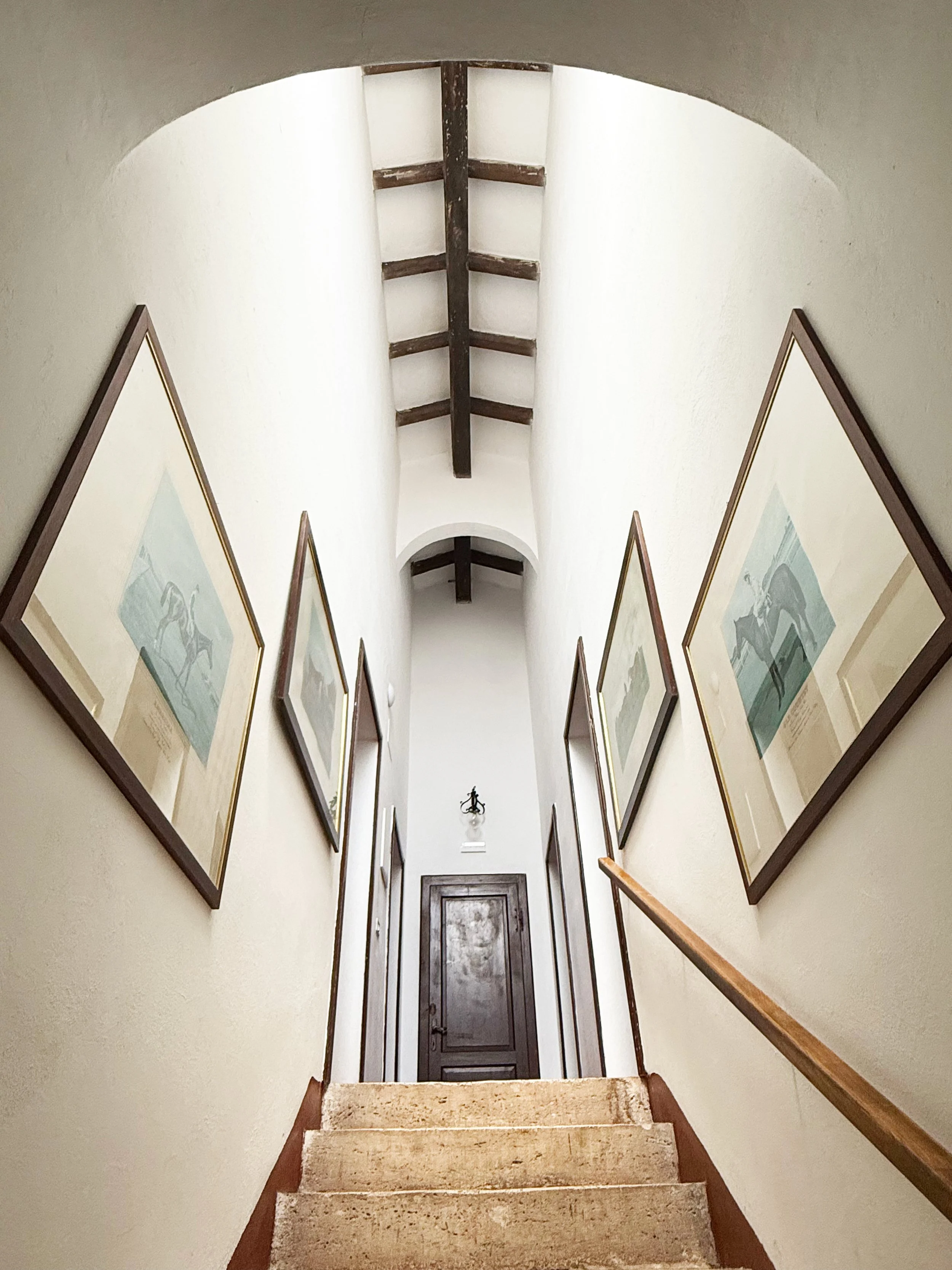 il pingro-casa cometa-05.jpg