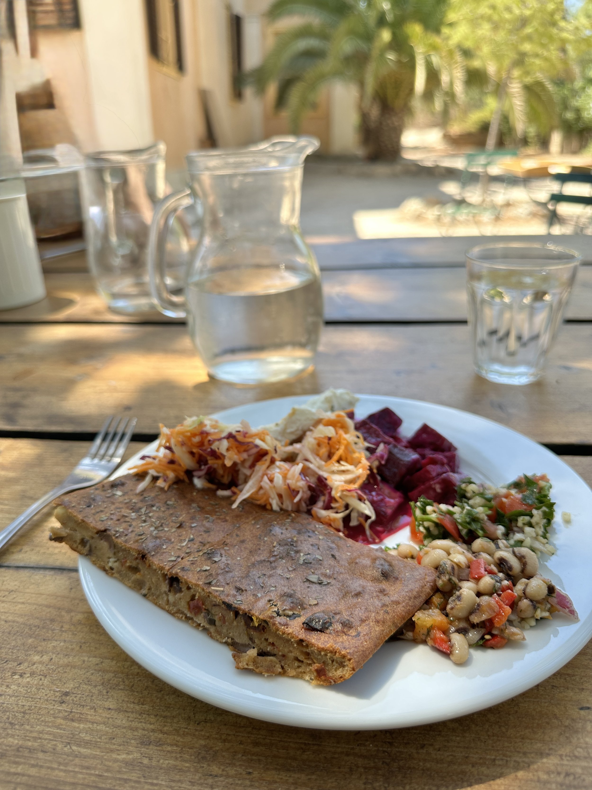 Plant_Based_Lunch.jpg