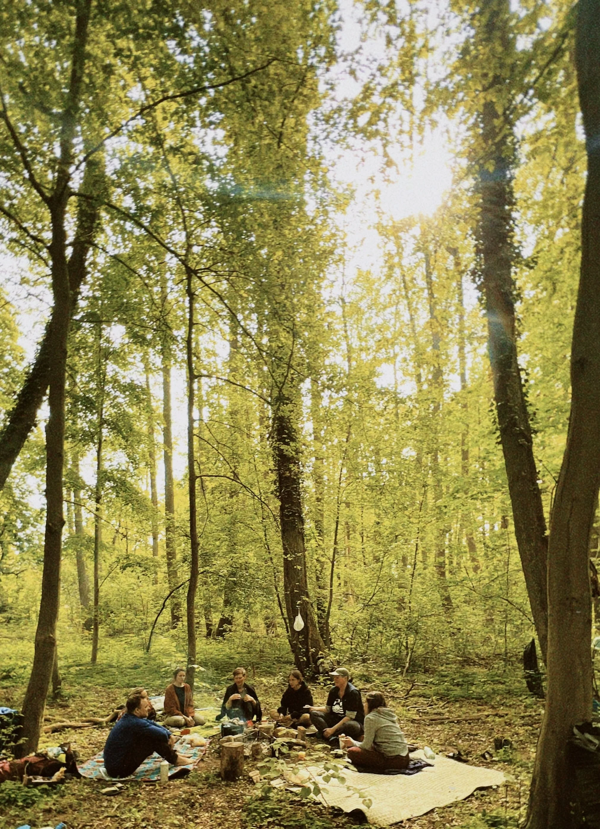 classicu 2024-05-10 160424.750.jpeg