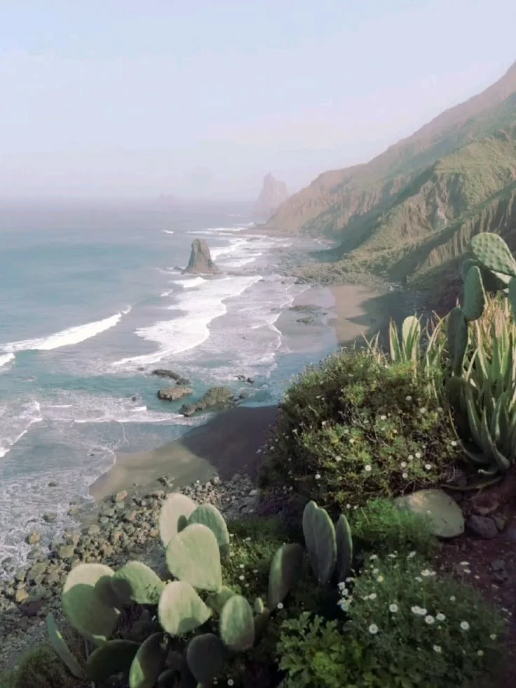 Benijo Beach, Tenerife, Canary Islands, Spain.jpeg