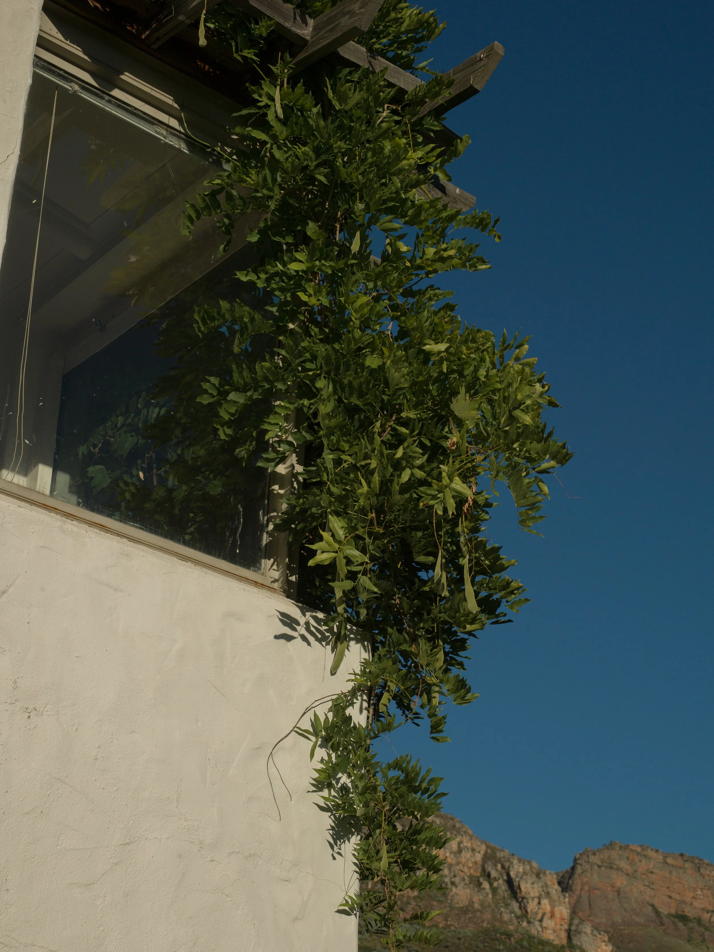 RESIDENCE DIGITAL123.jpg