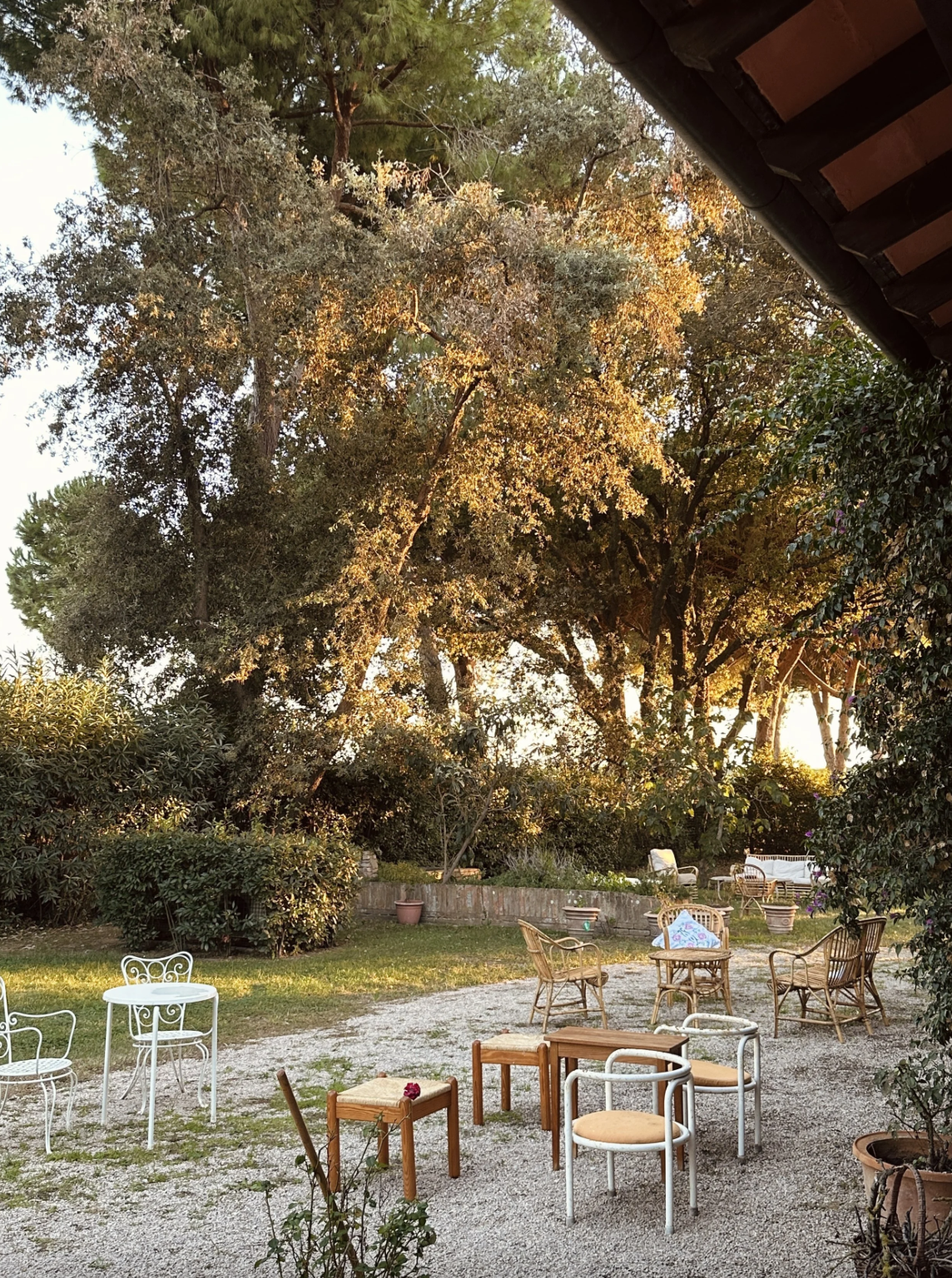 Screenshot 2026-03-03 at 5.34.46 PM.png