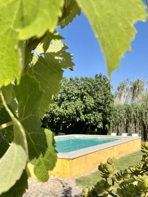 Ericeira yoga surf retreat june.jpeg