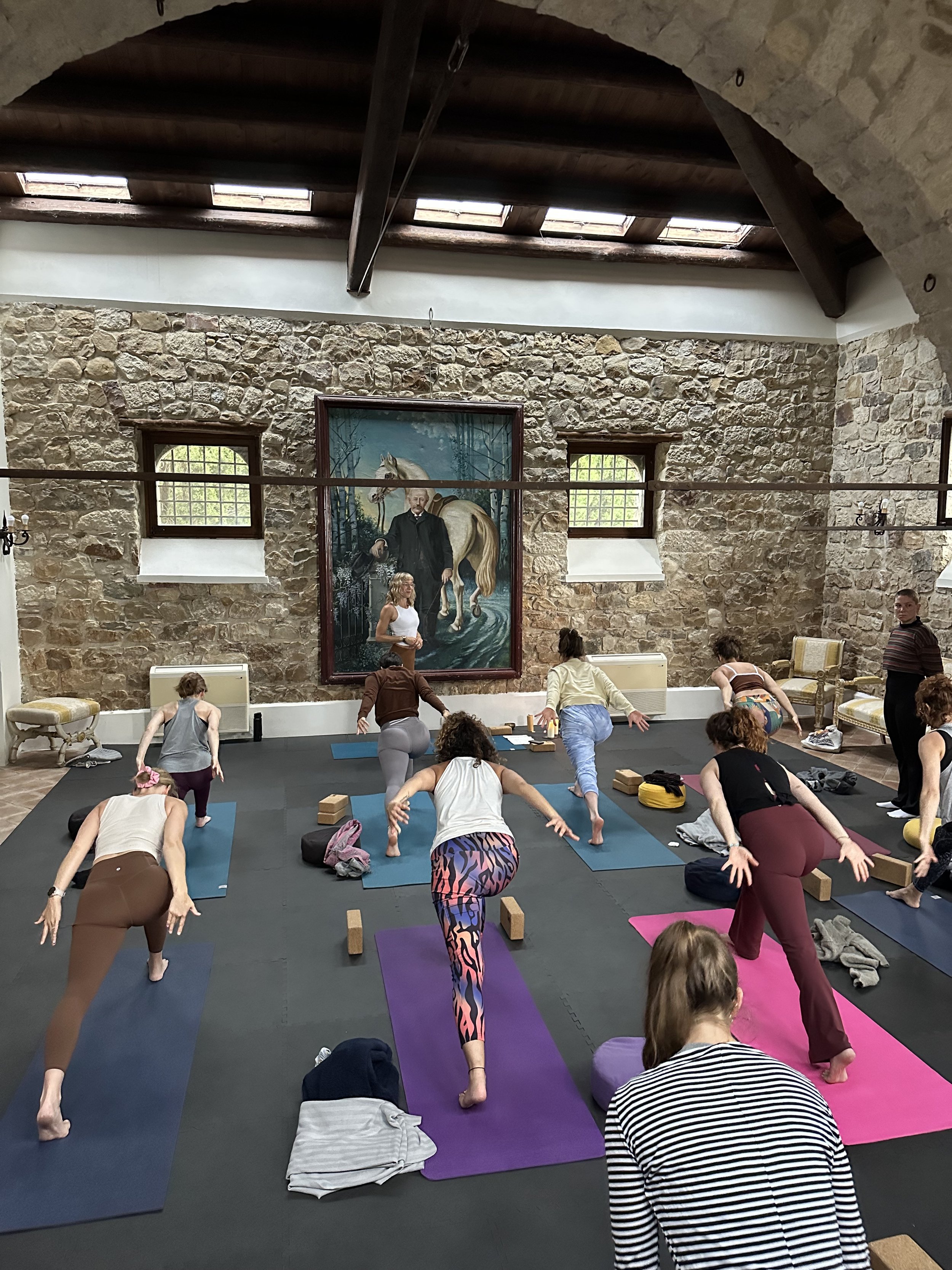 ode yoga institute ytt.jpeg