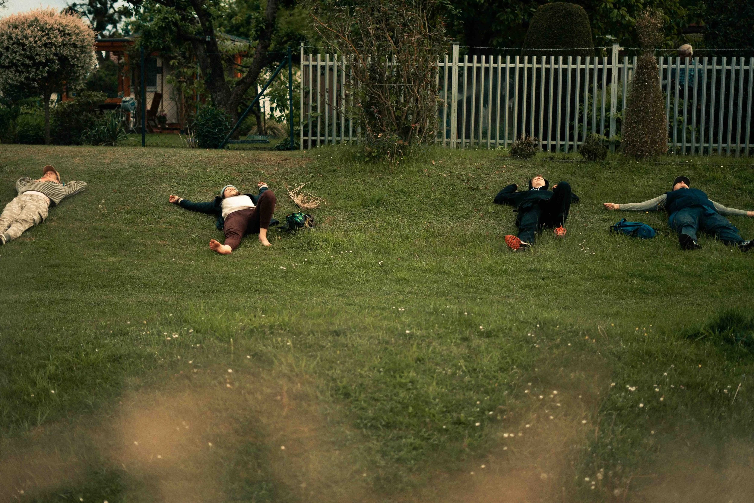 yoga retreat at the forest.jpeg