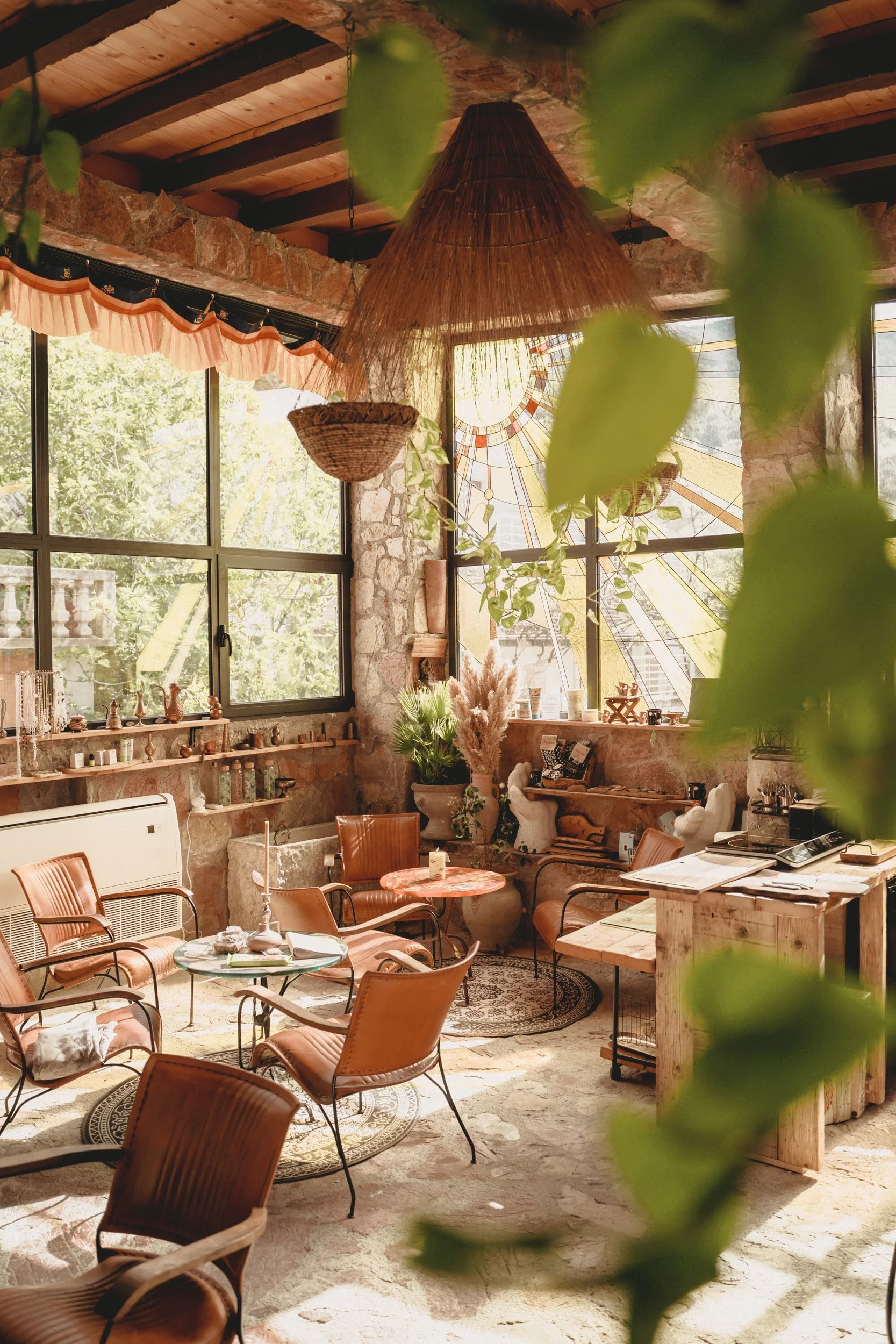 cozy cafe in Montenegro plants .JPG