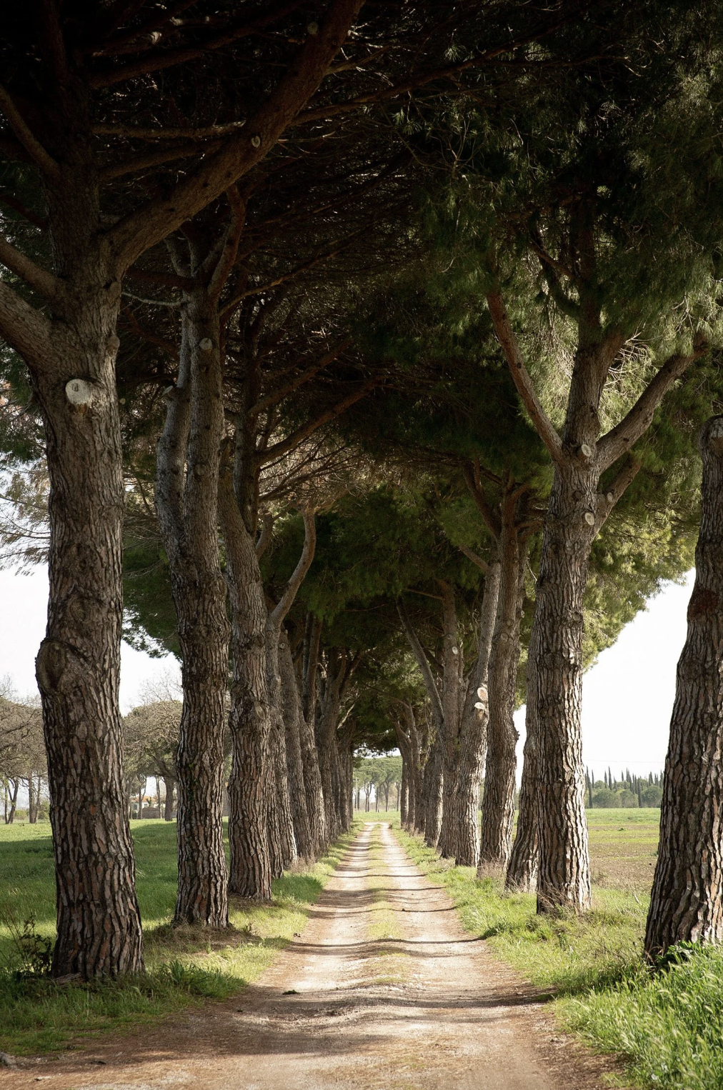 Screenshot 2026-03-03 at 5.35.11 PM.png