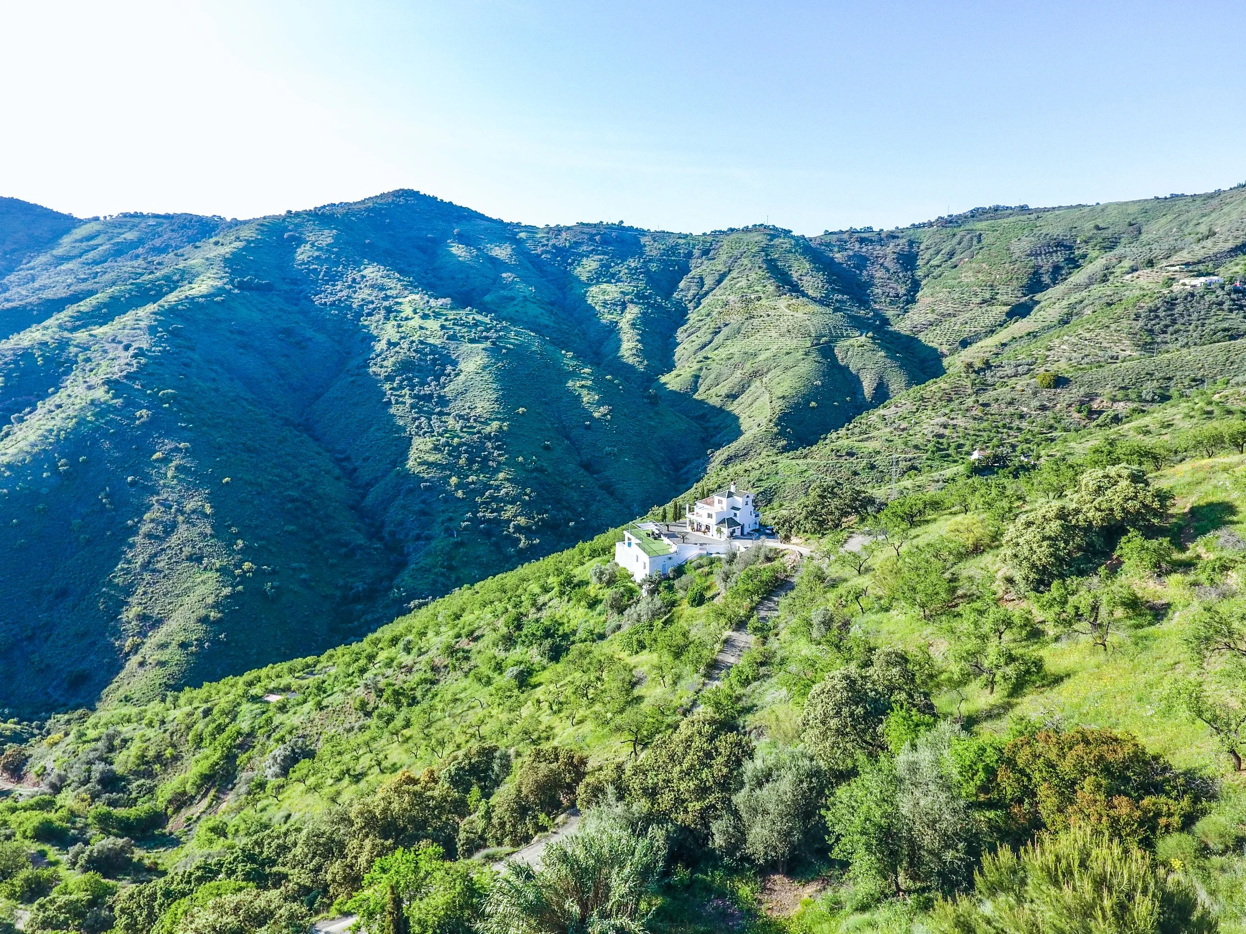 dji_0016.JPG