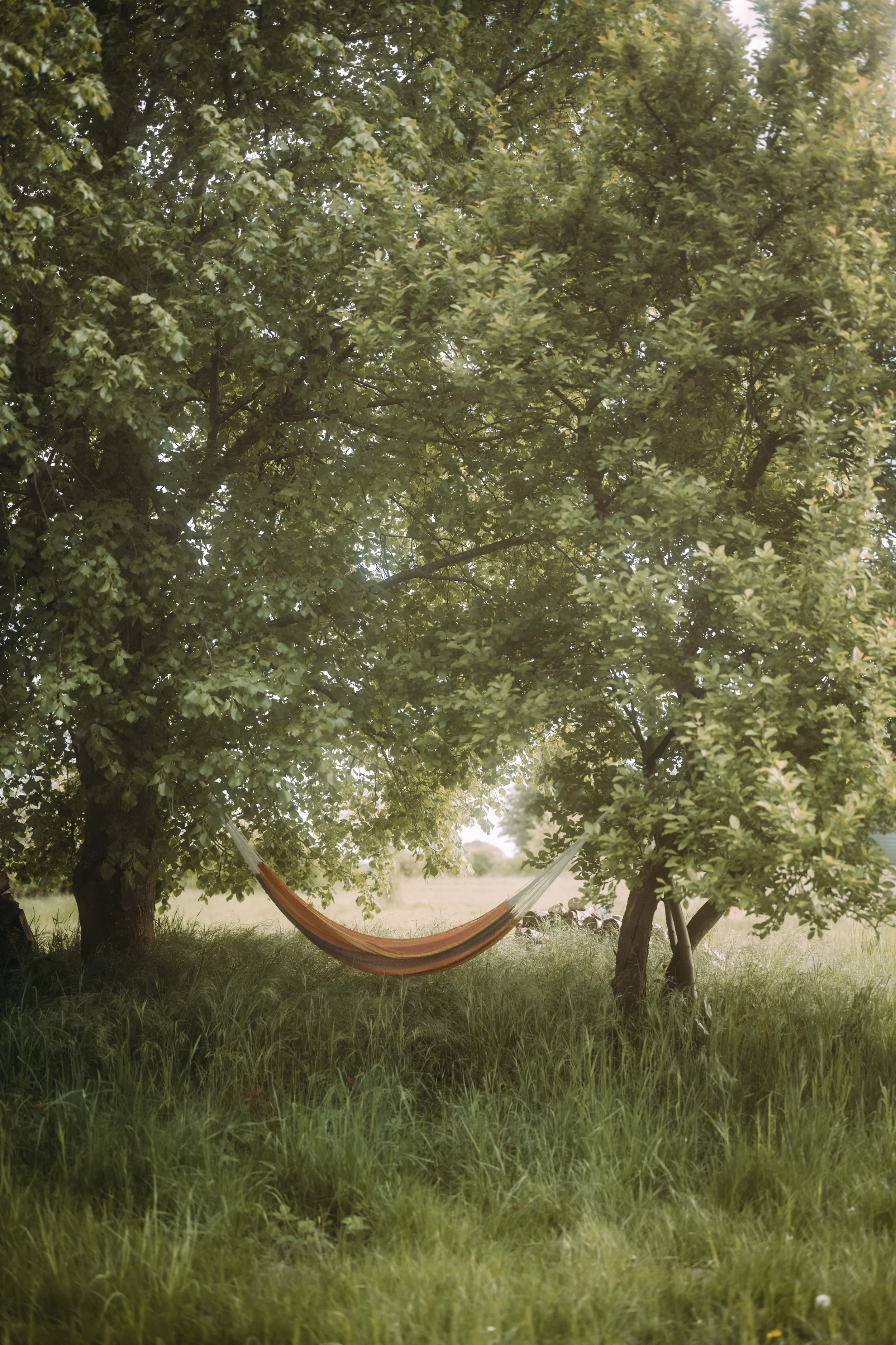 bhakti training retreat.jpg