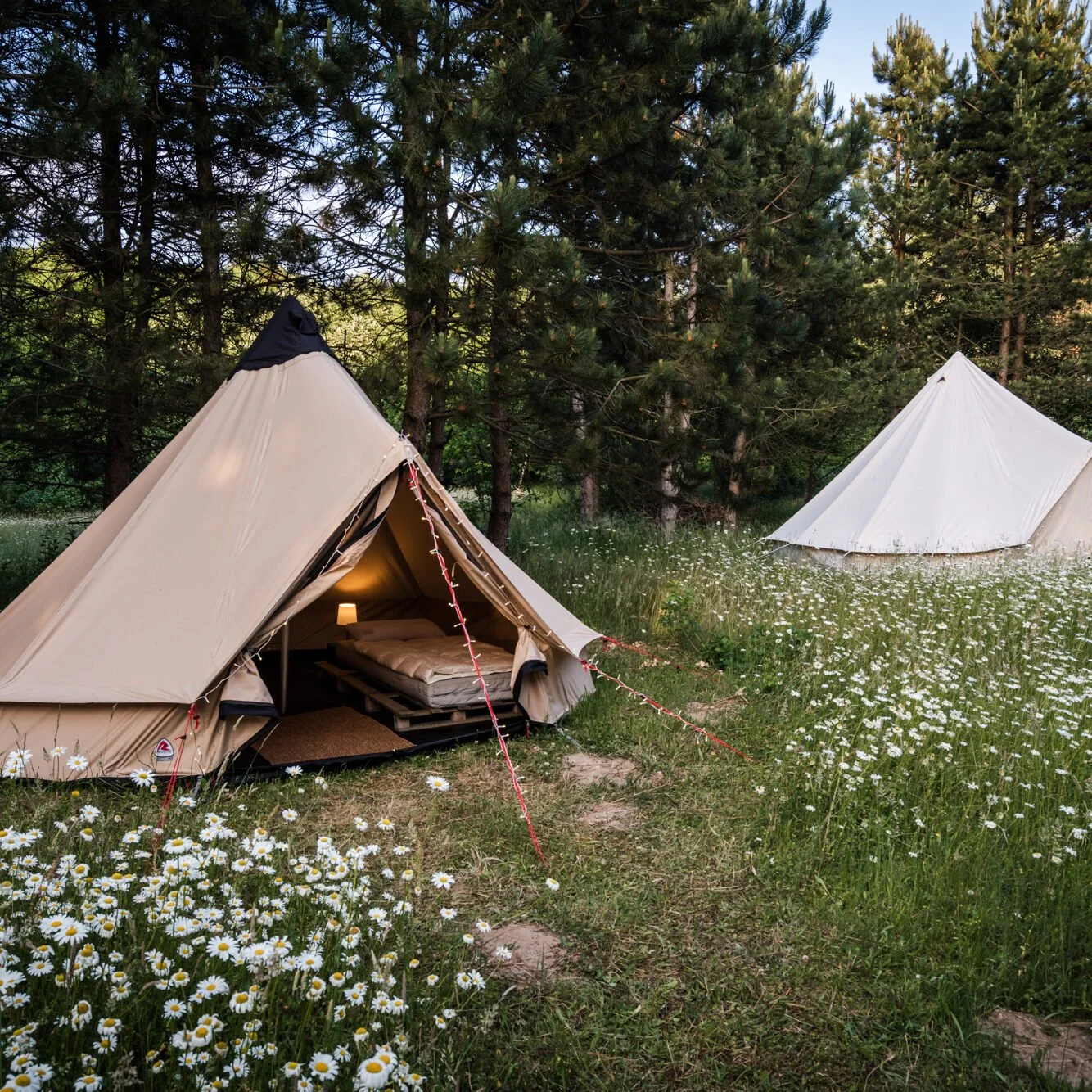 wir bauen zukunft glamping retreat.jpg