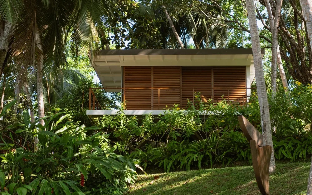 TREEHOUSE+2.webp
