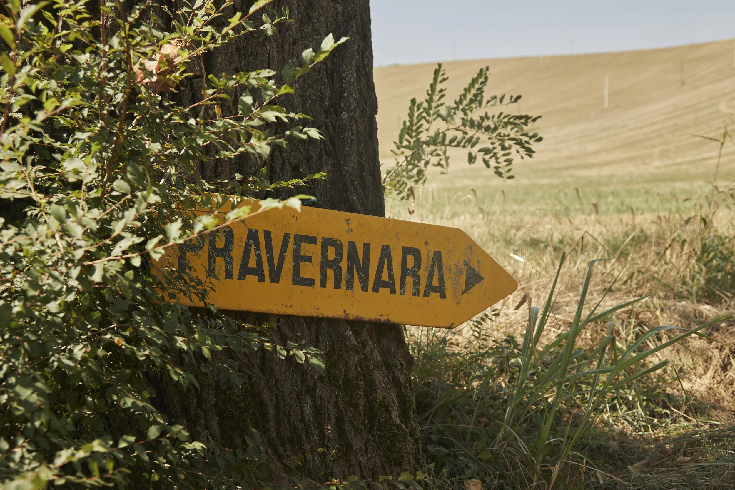 yoga retreat italy landscape.jpg