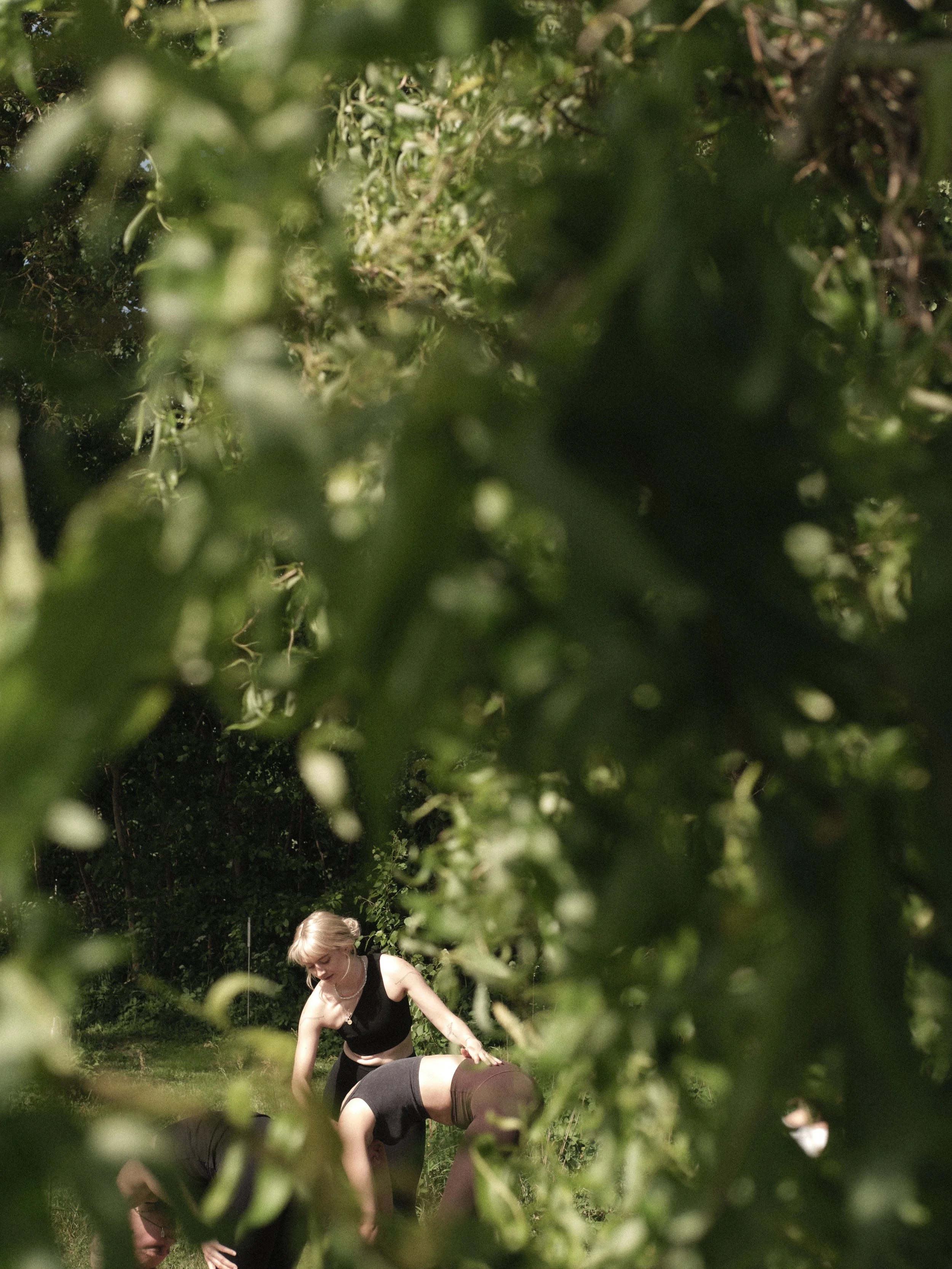 nature retreat getaway near berlin.jpeg