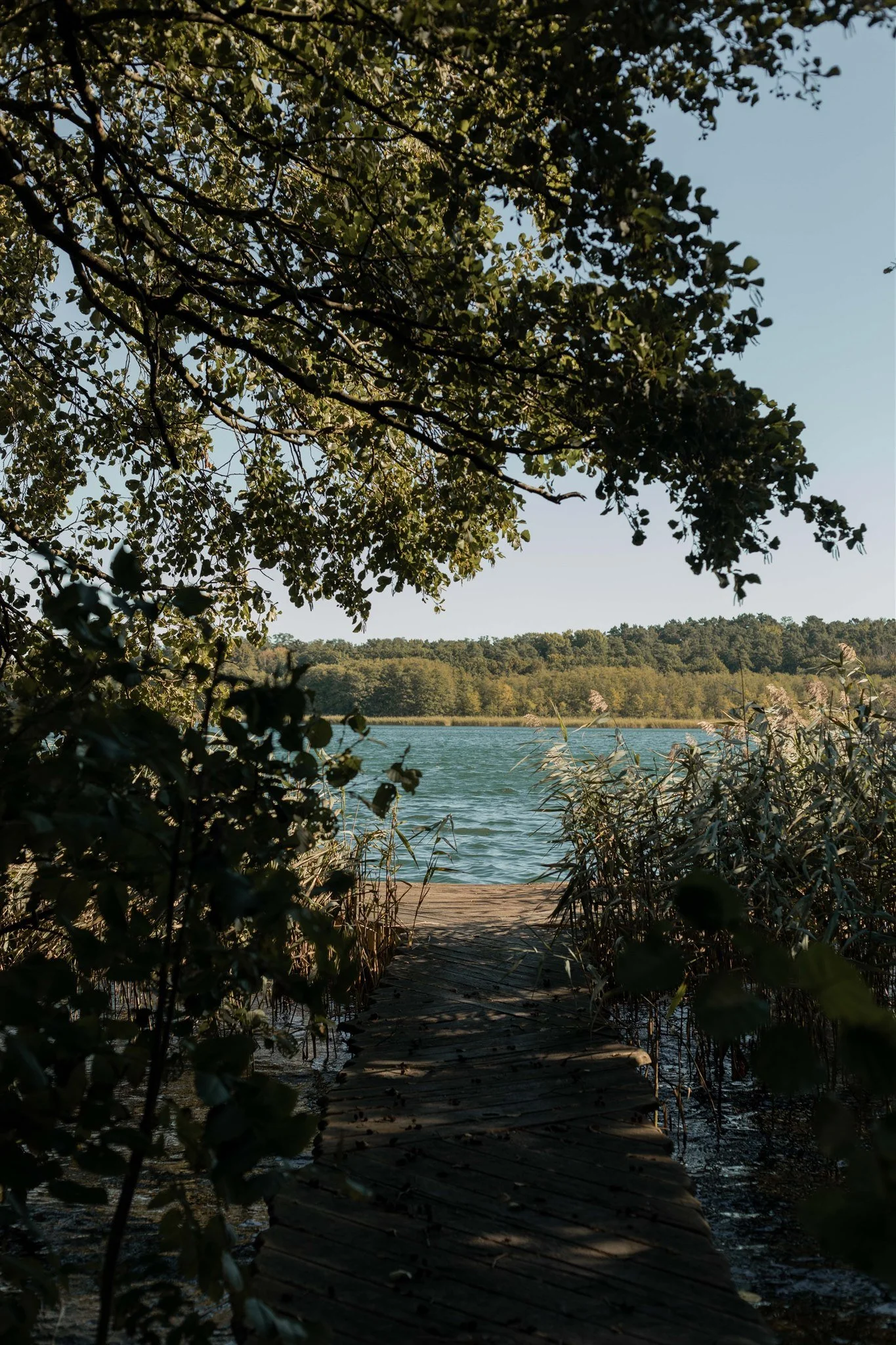 softening retreat private lake stillness.jpg