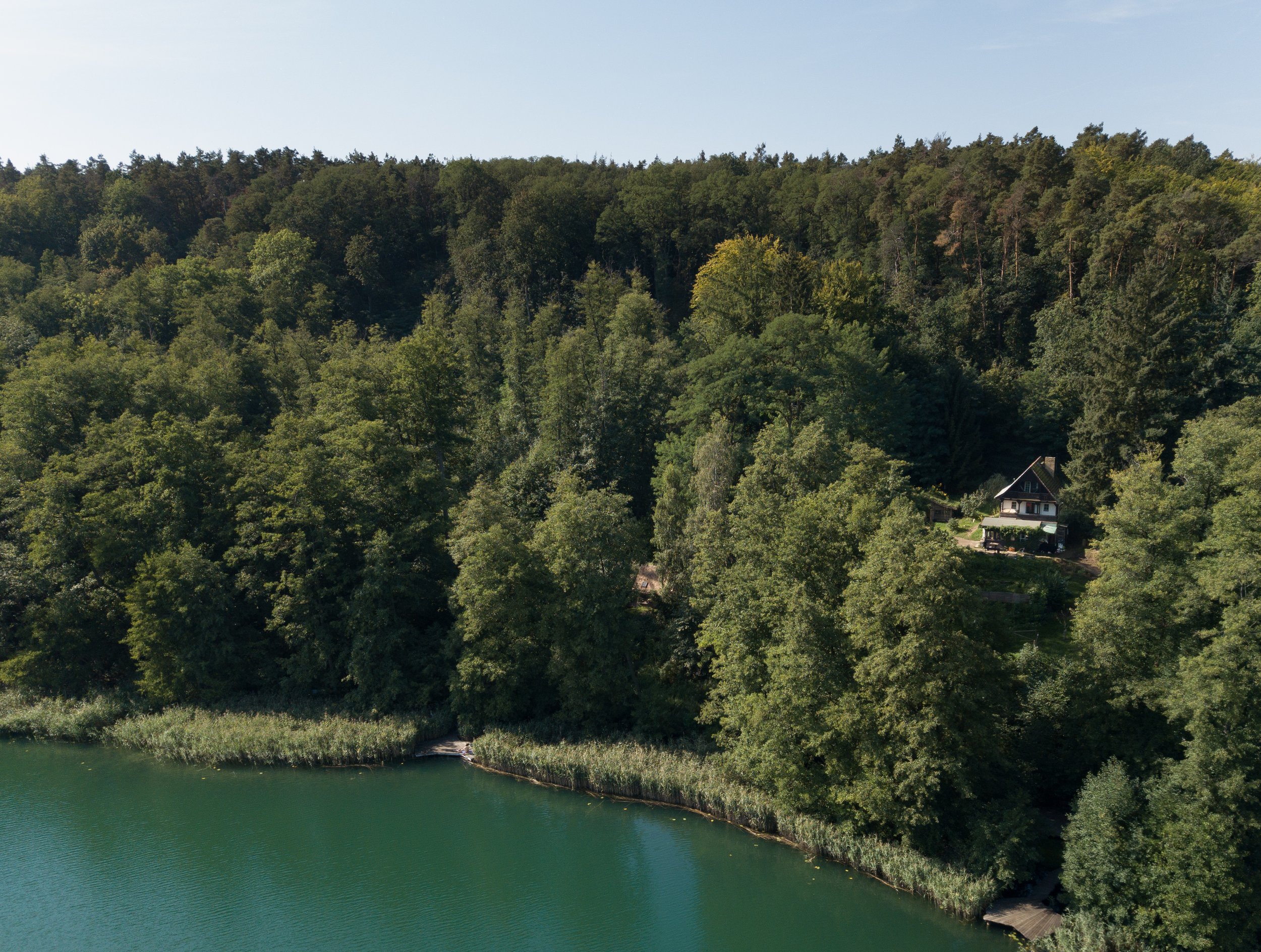 A house nestled among dense green trees on a hillside overlooking a body of water.