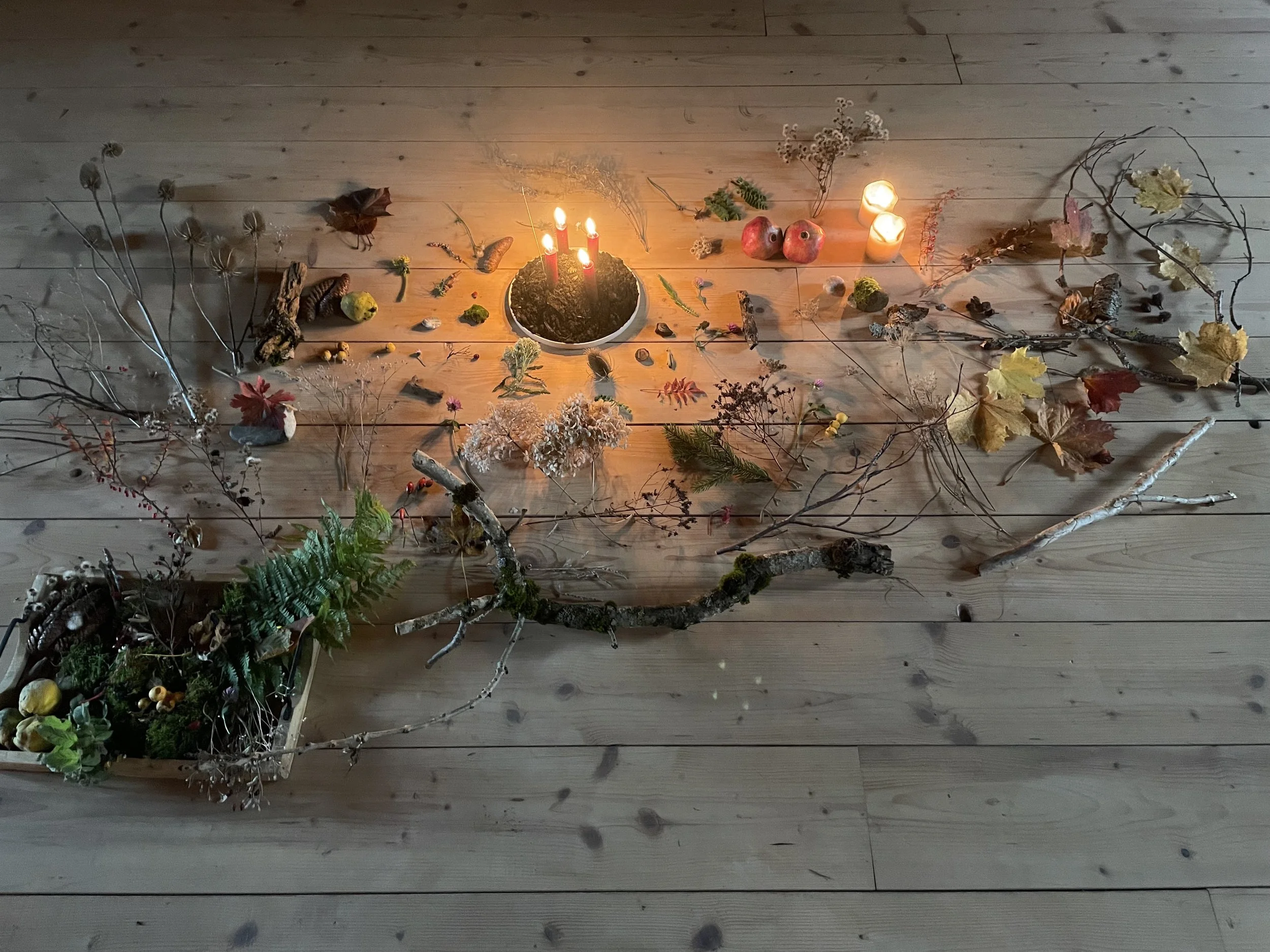 In-To Rest | Somatics & Ritual Retreat.jpg