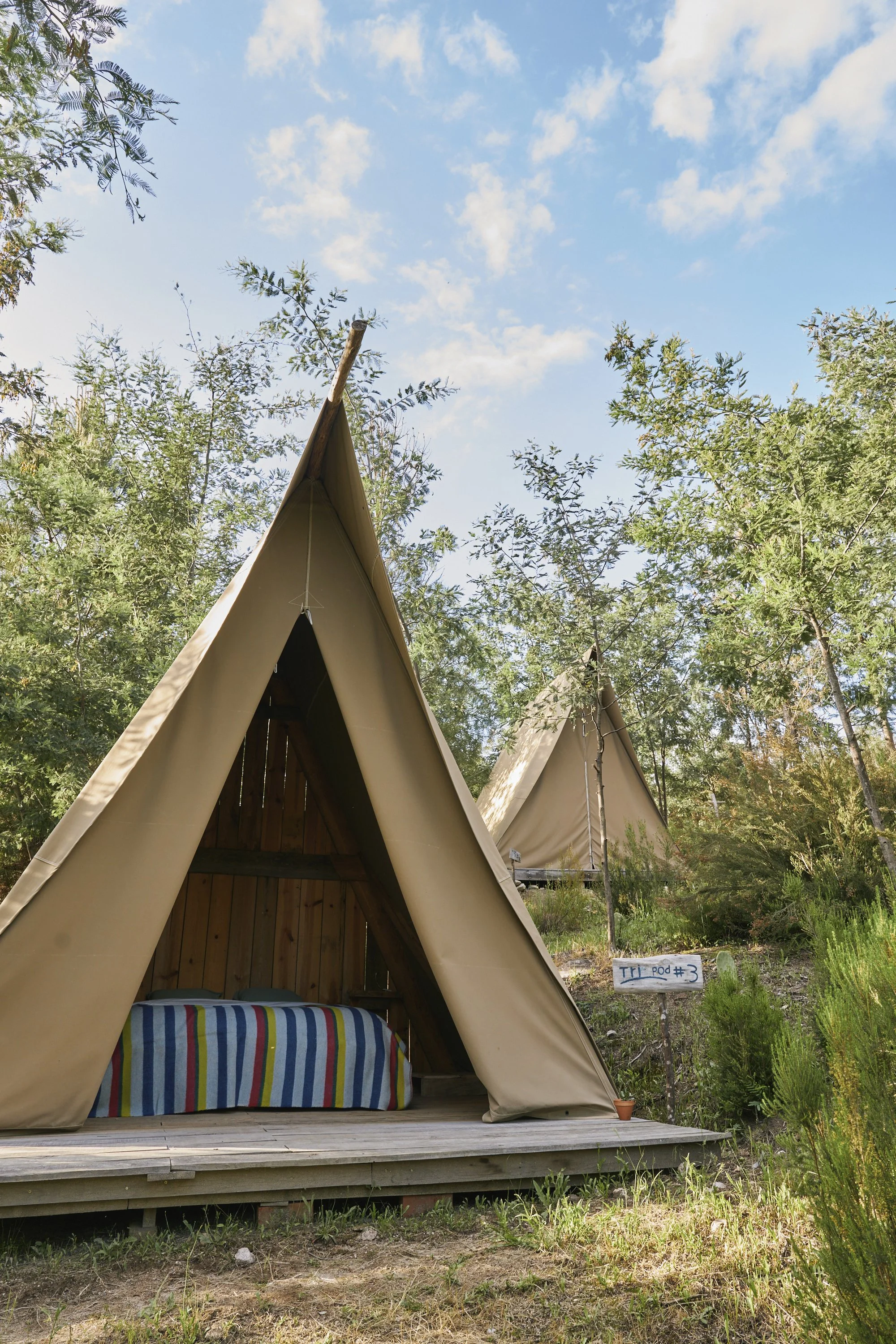 tent nature portugal.jpg