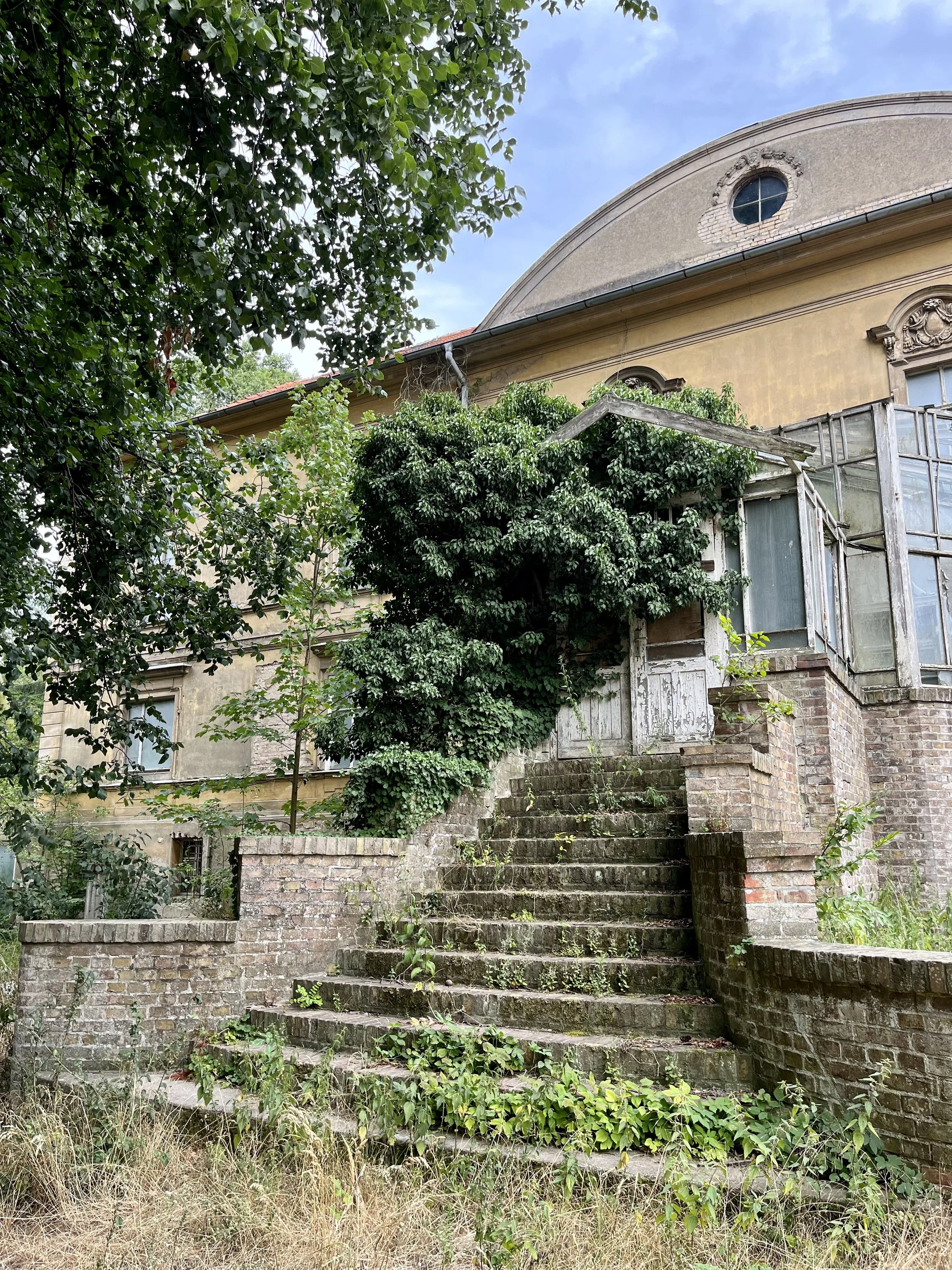 Old, overgrown brick staircase leading to an entrance of a worn building with yellow walls and decorative architectural details, surrounded by lush green trees and plants.