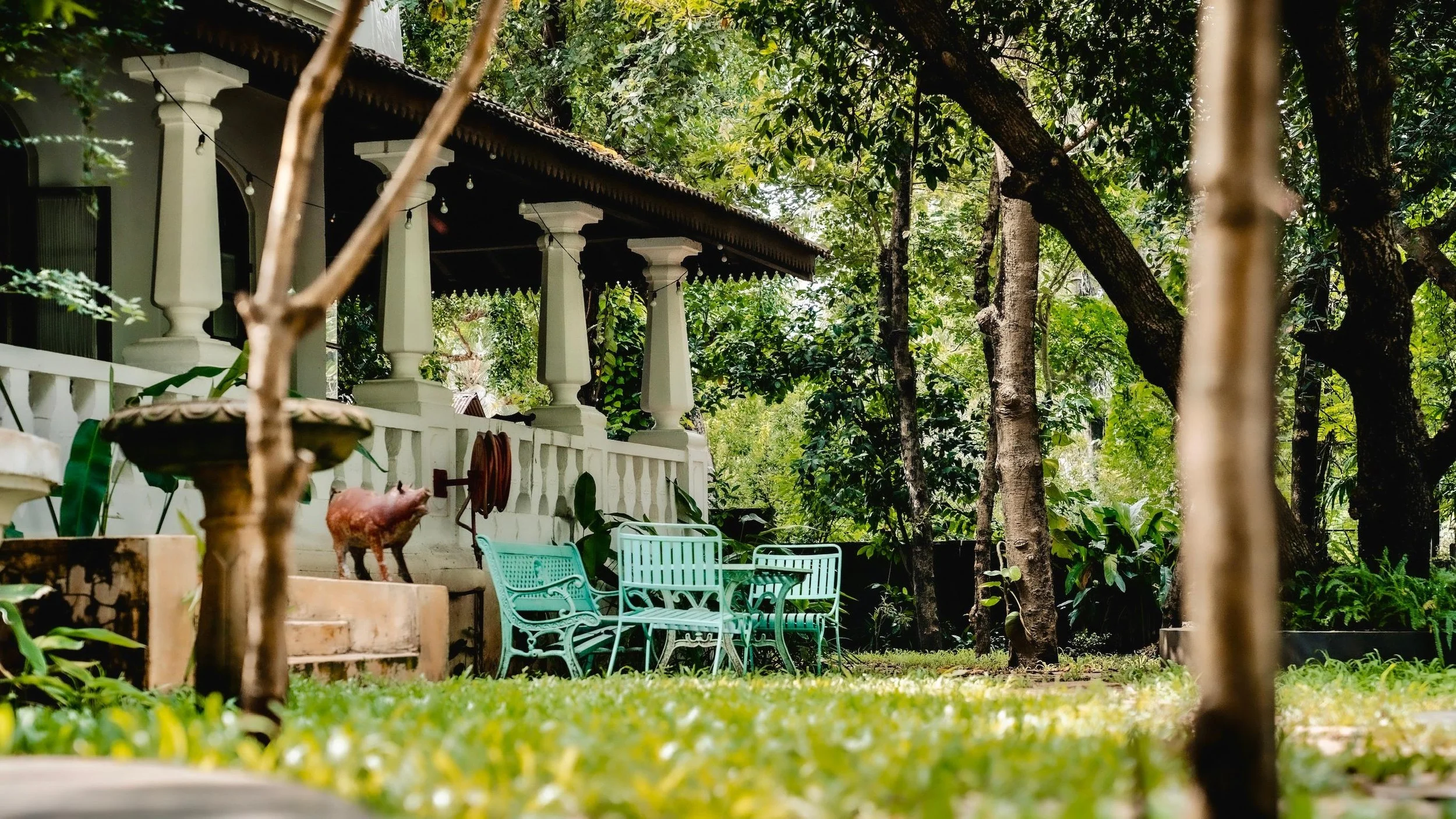 Garden yoga retreat goa nature connection.jpeg