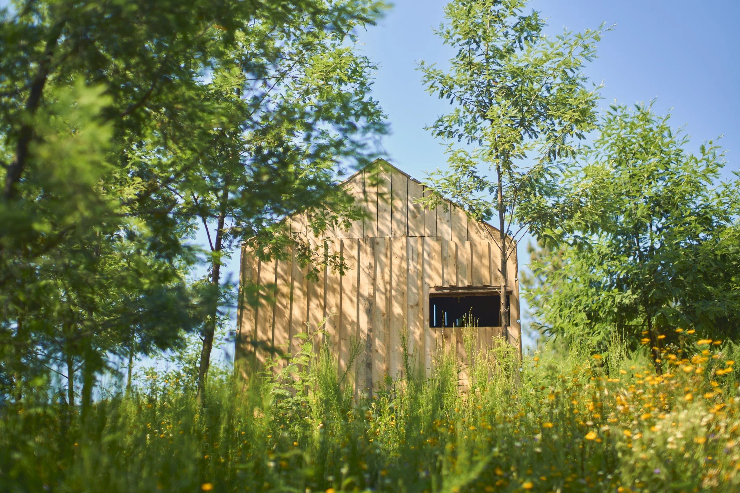 nature portugal yoga retreat center.jpg