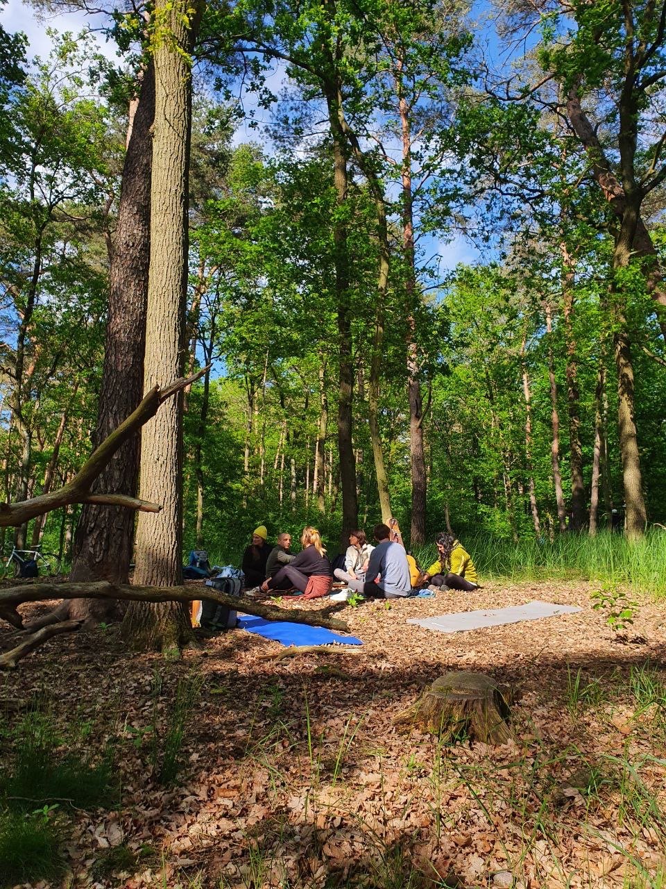 A group of people sitting in a circle on the forest floor surrounded by trees and greenery.