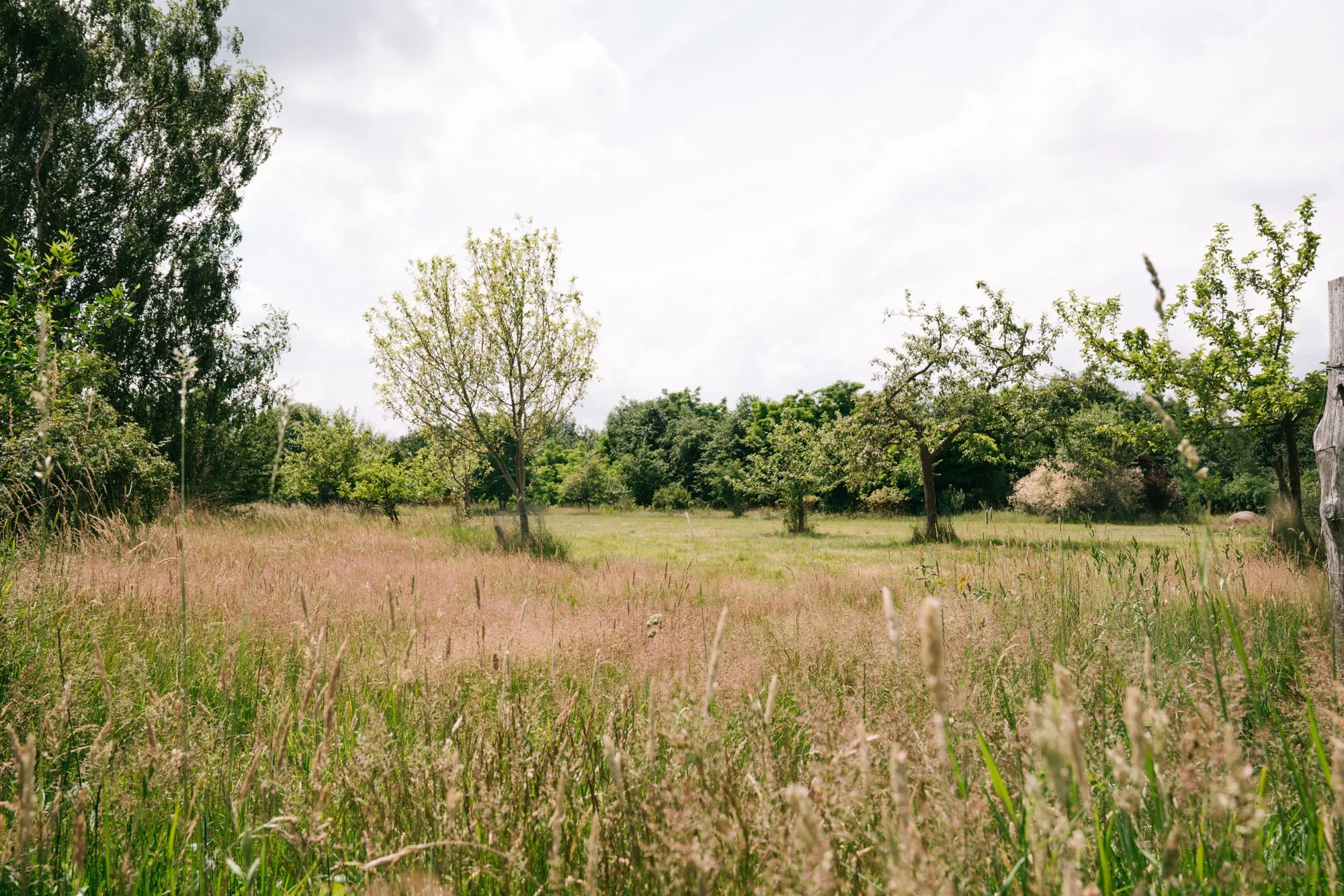 NONNA-Hof_ garden retreat center.jpg
