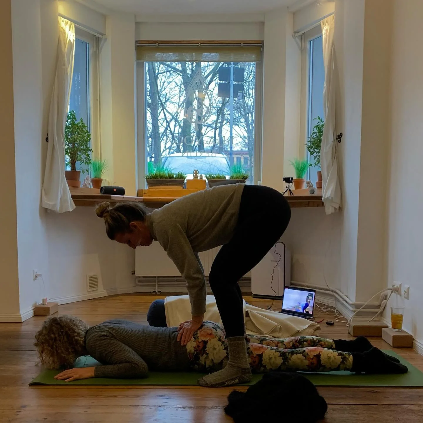 assist yoga YTT 200hr.jpg