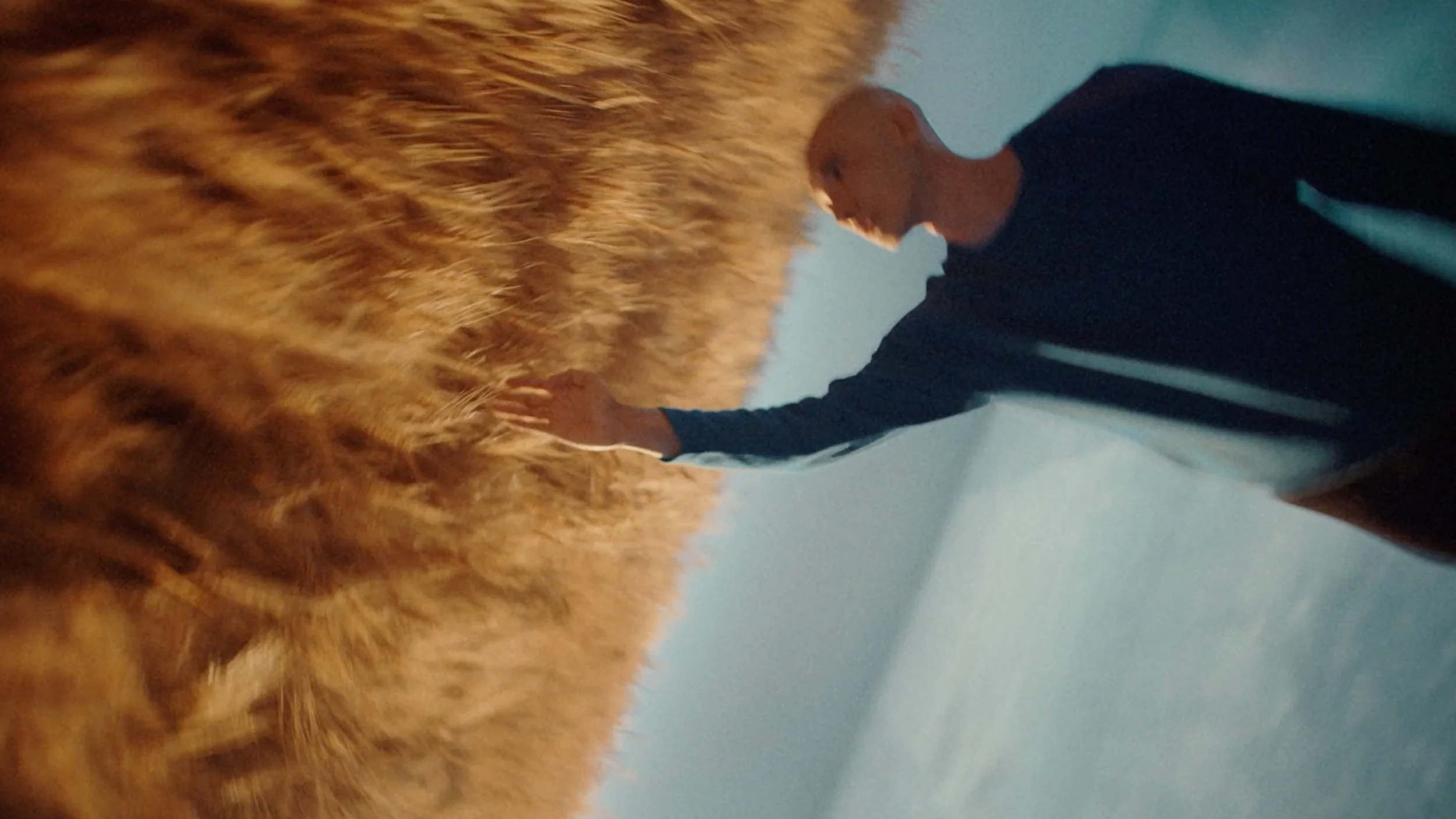 SINGLETON - TEJADA , STINK