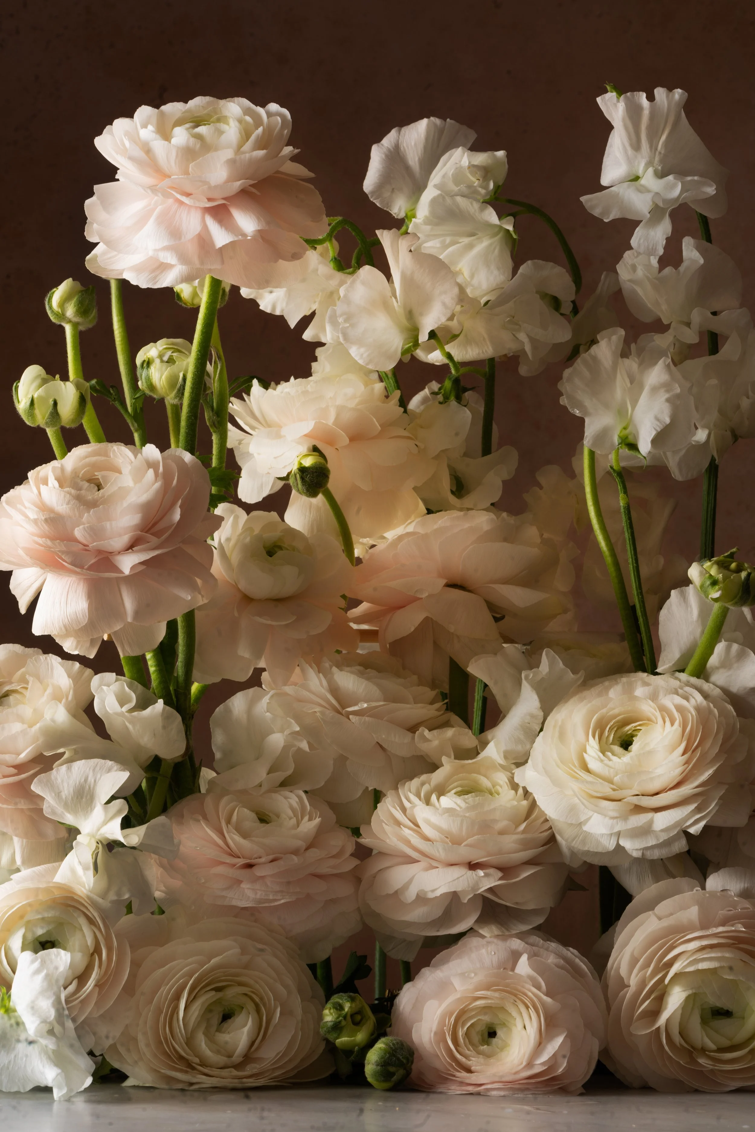 Ranunculi Another.jpg