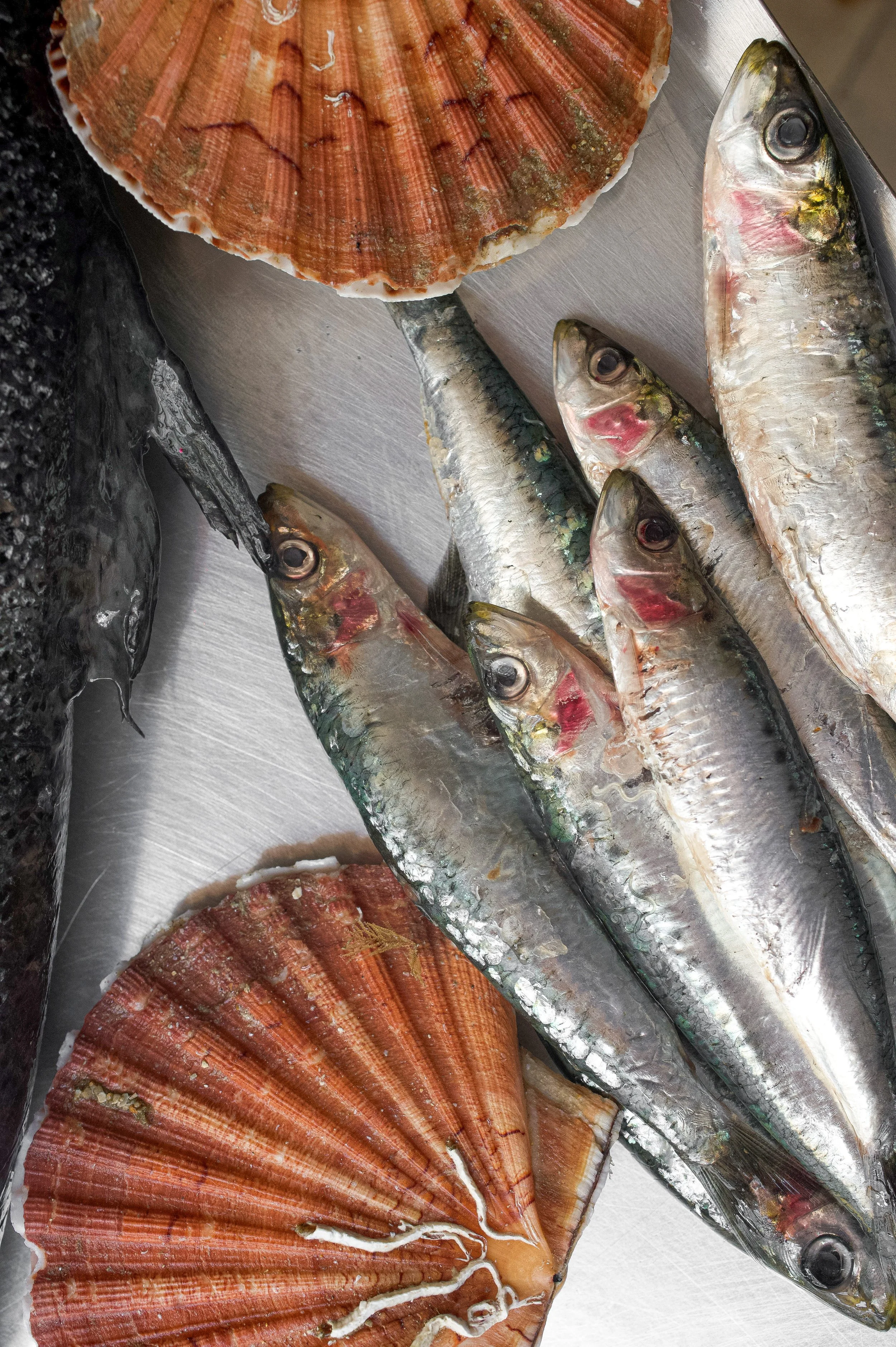 Poissons et coquillages frais, notamment des sardines, des moules dans une assiette en métal.