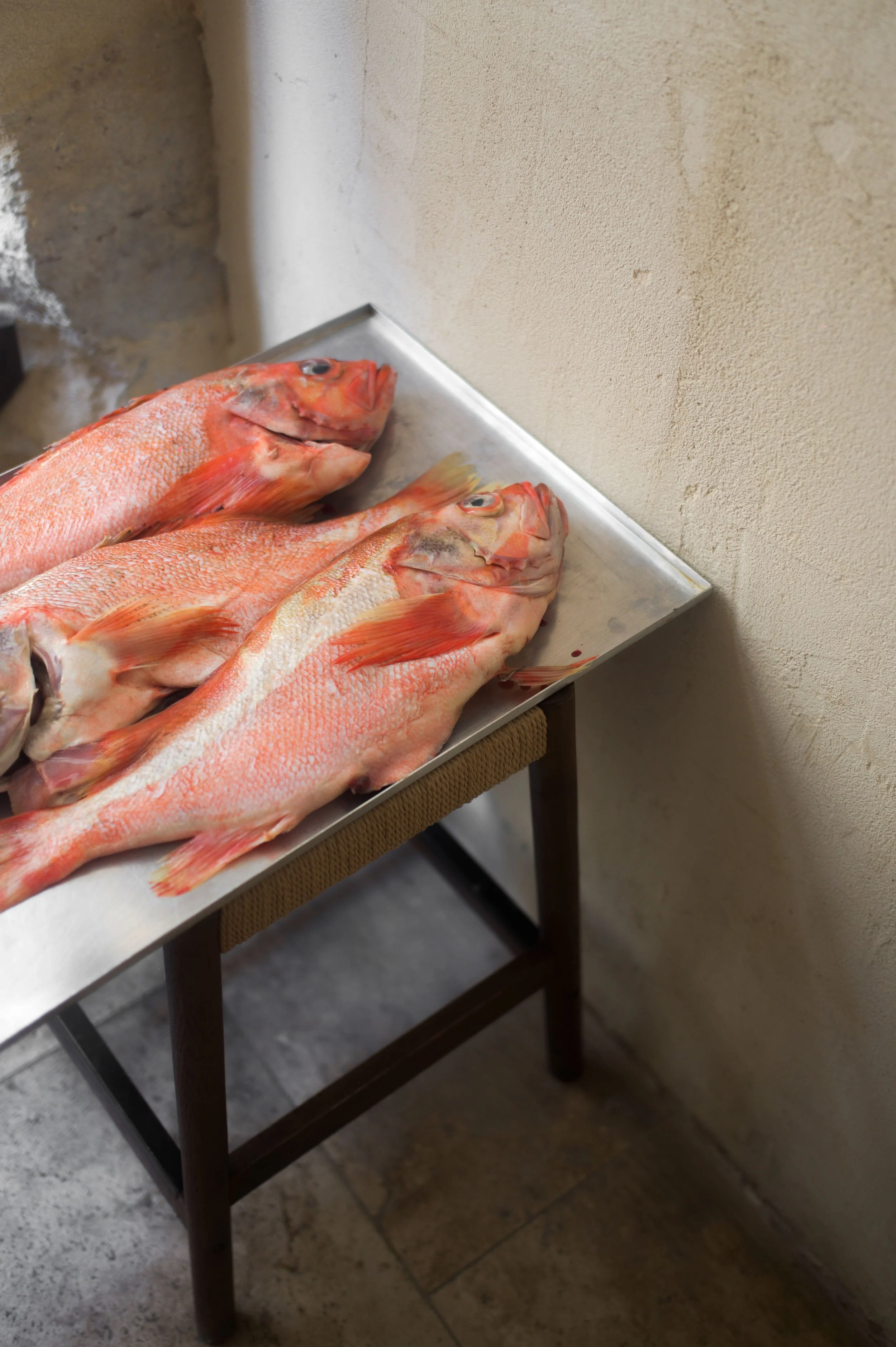 Poissons rouges sur une table en métal à côté d'un mur beige.