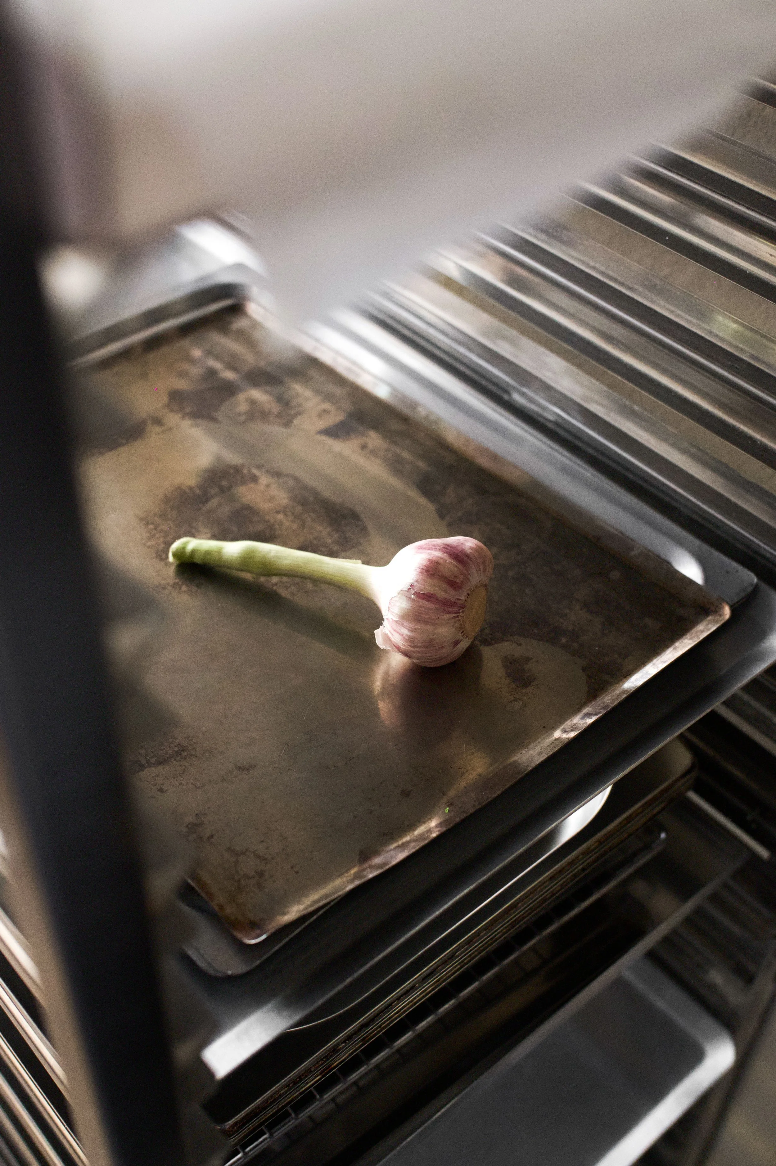 Une tige d'ail frais reposant sur une plaque de cuisson en métal.