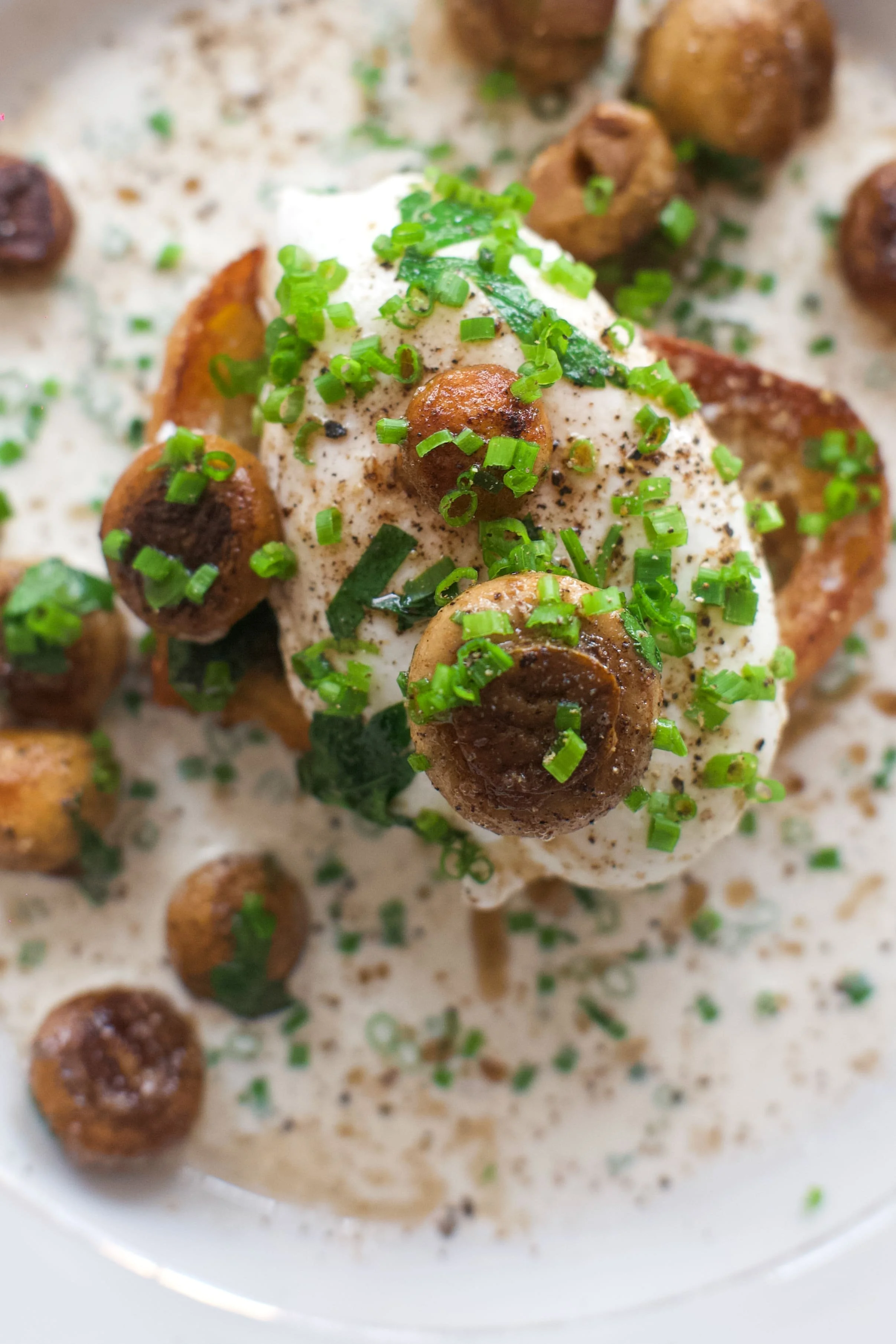 Oeuf poché avec champignons, crème fraîche, ciboulette et épices, dans une assiette blanche.